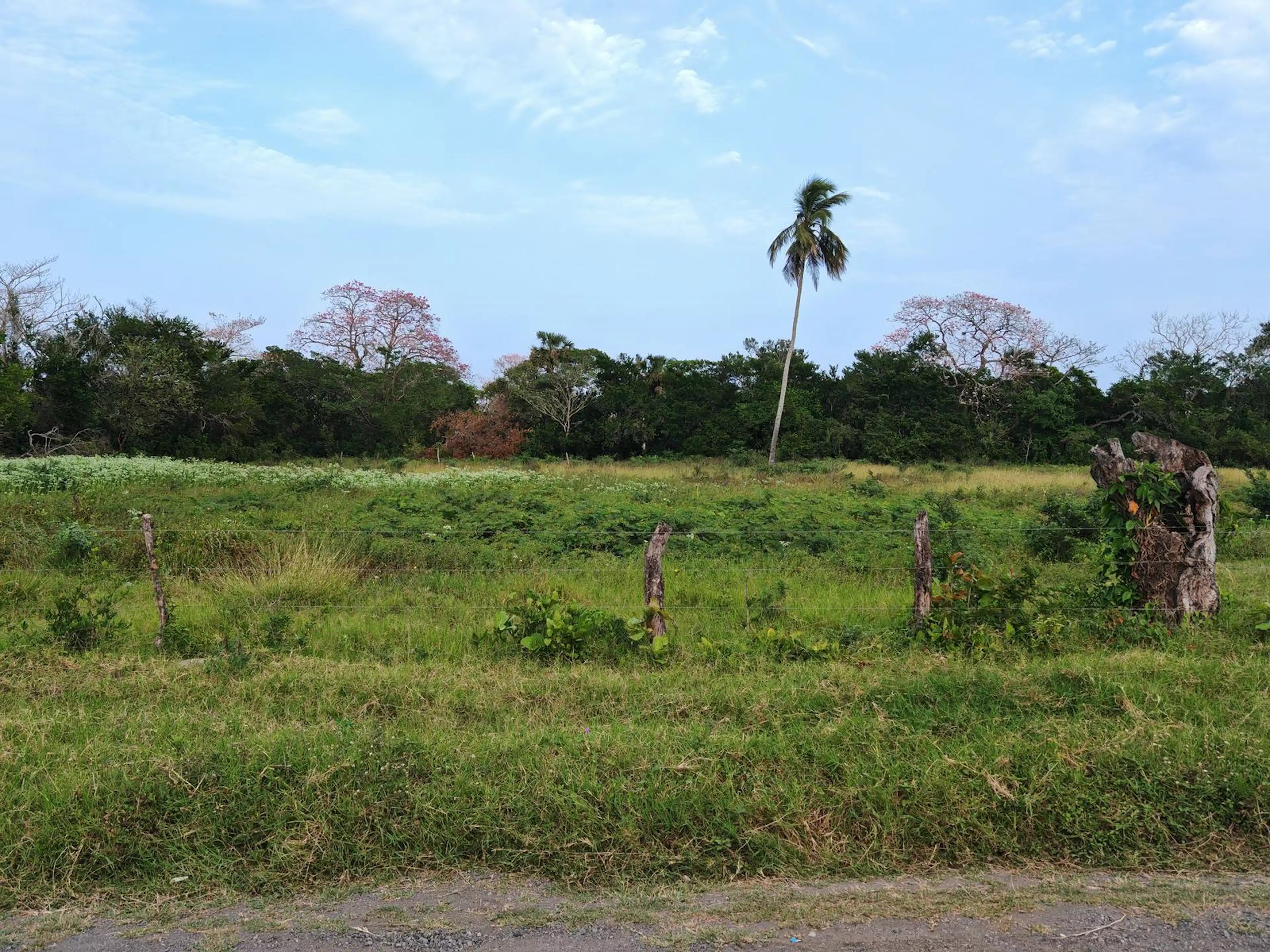 Terreno de 1000 m2 en  el municipio de tlalixcoyan