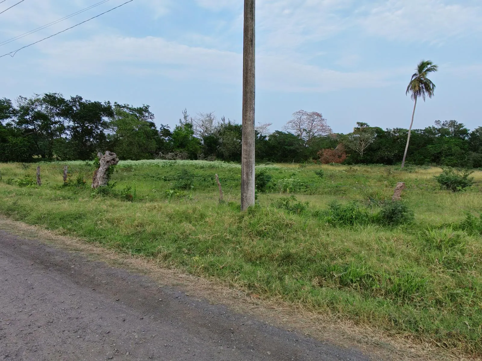 Terreno Spot2