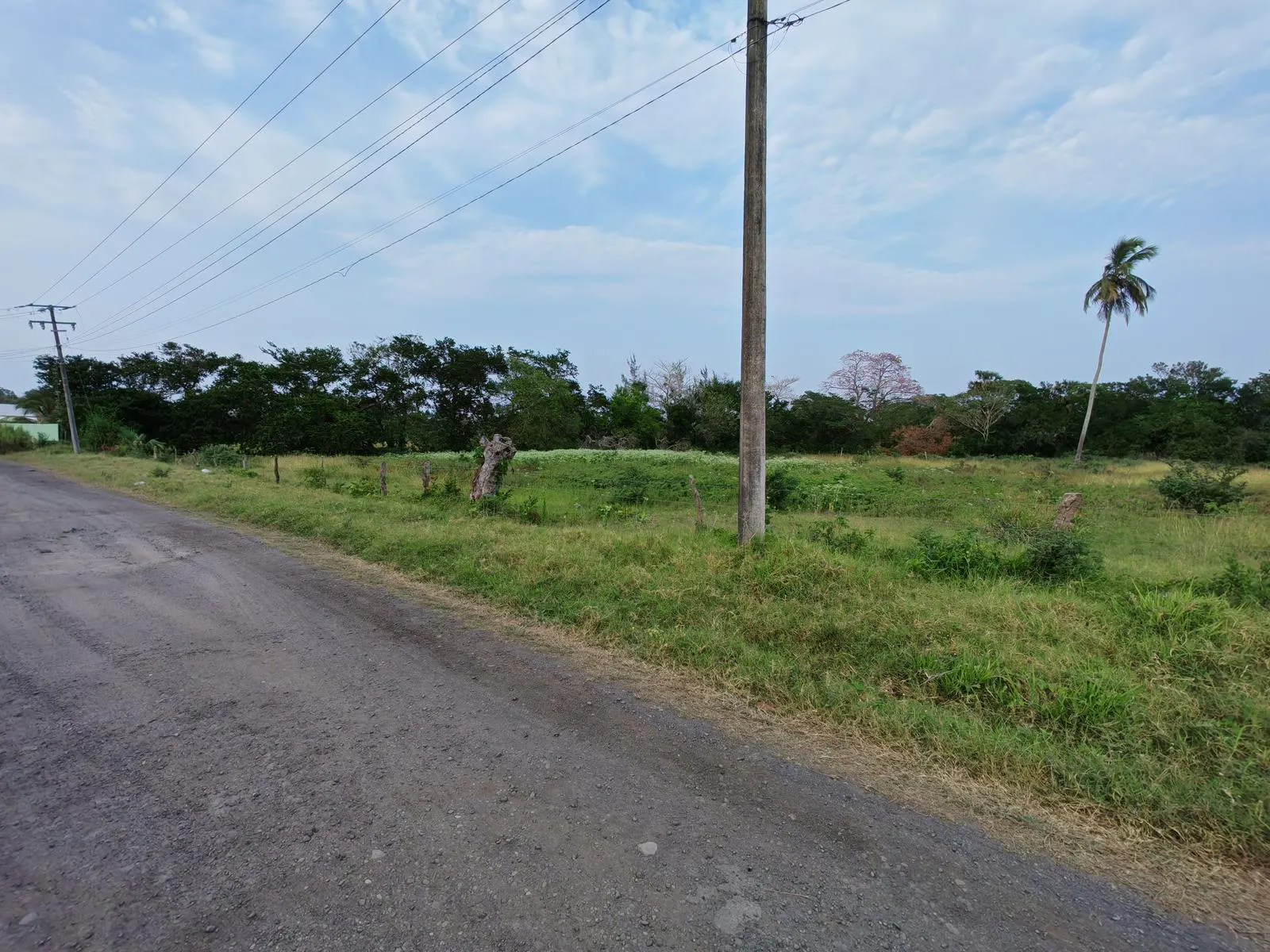 Terreno Spot2