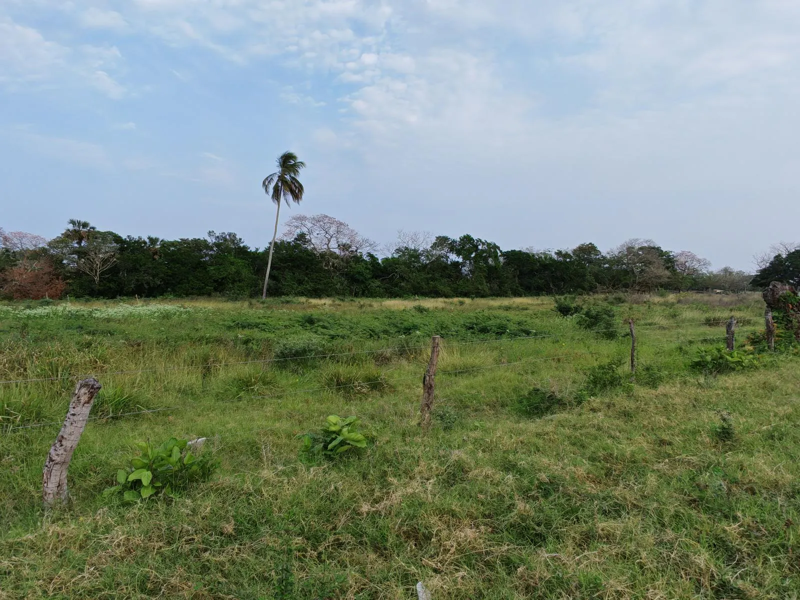 Terreno Spot2