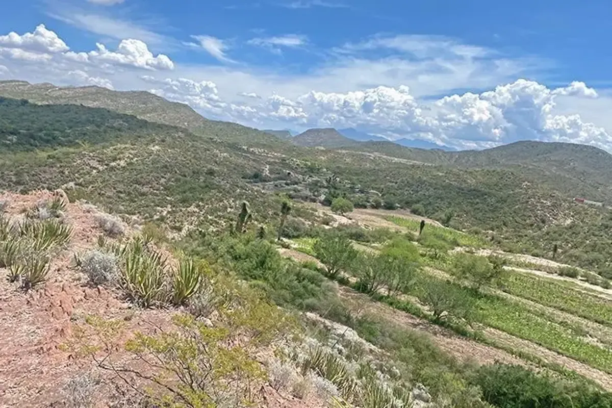 Terreno Spot2