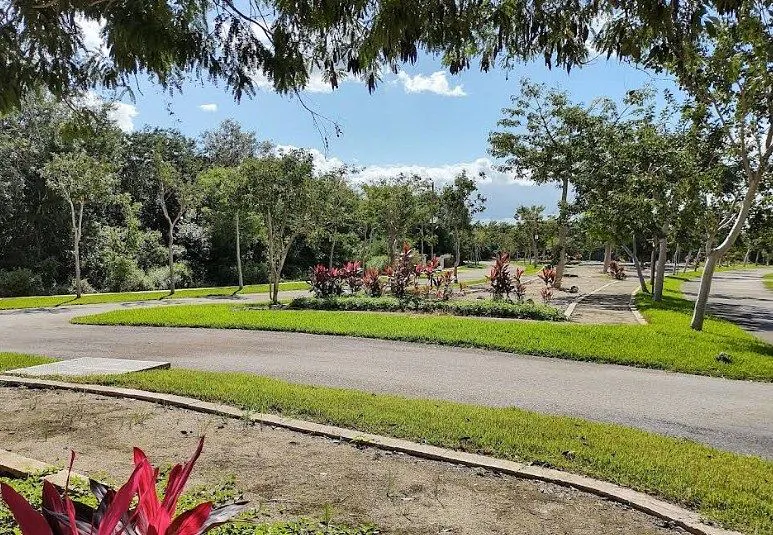 Terreno Spot2