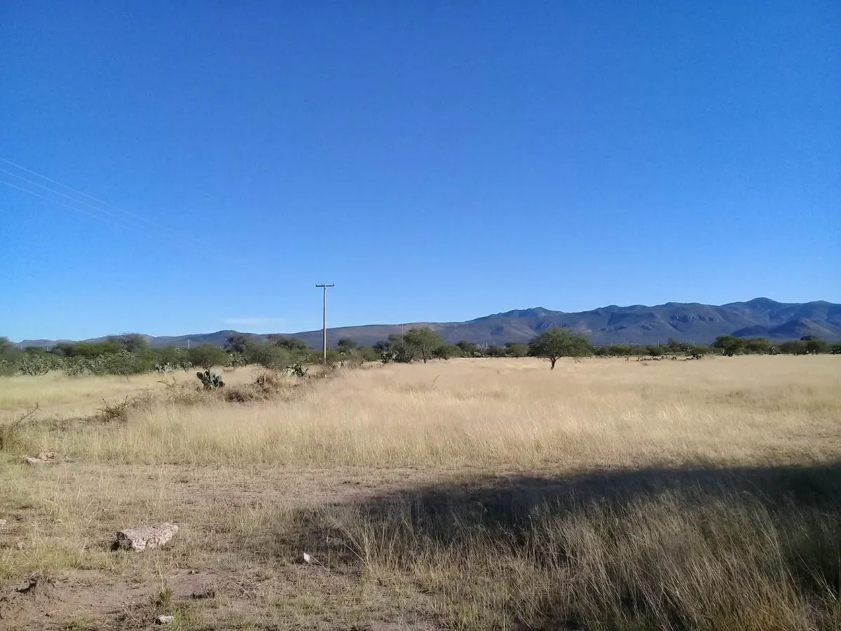 Terreno Spot2