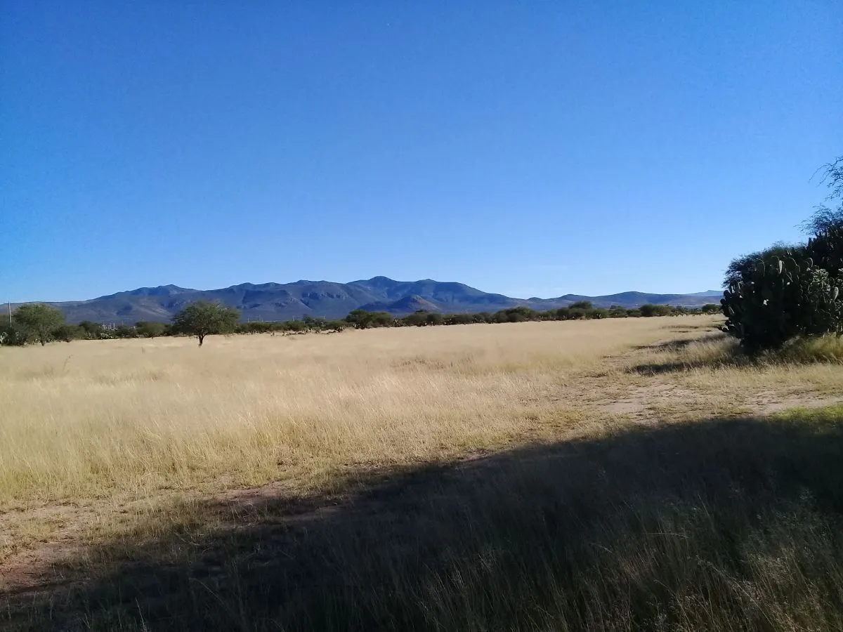 Terreno Spot2