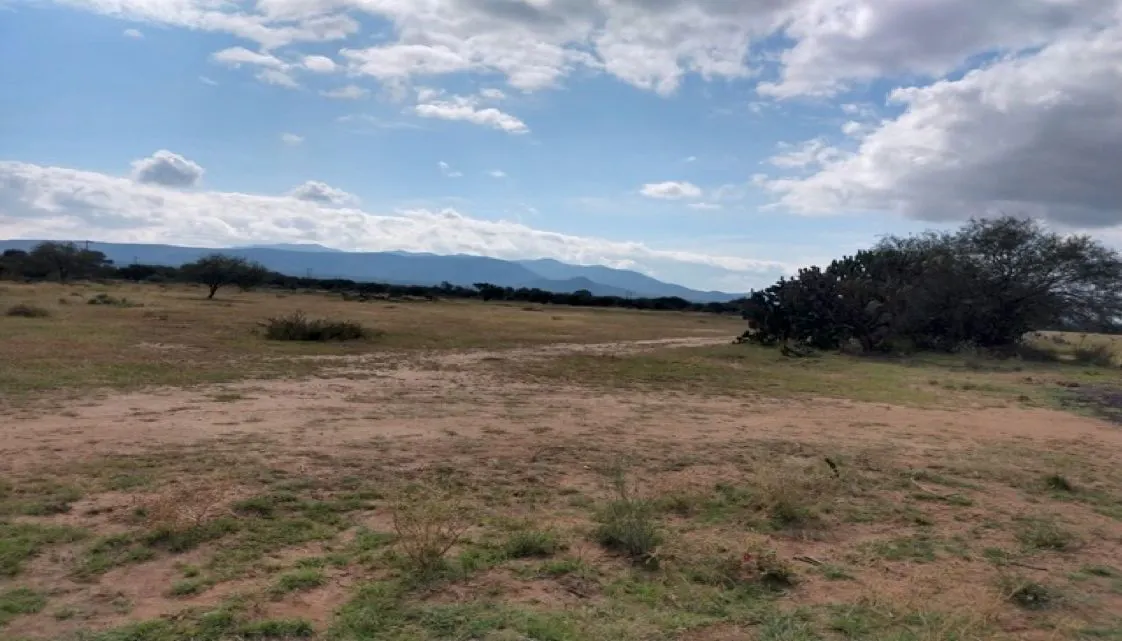 Terreno Spot2