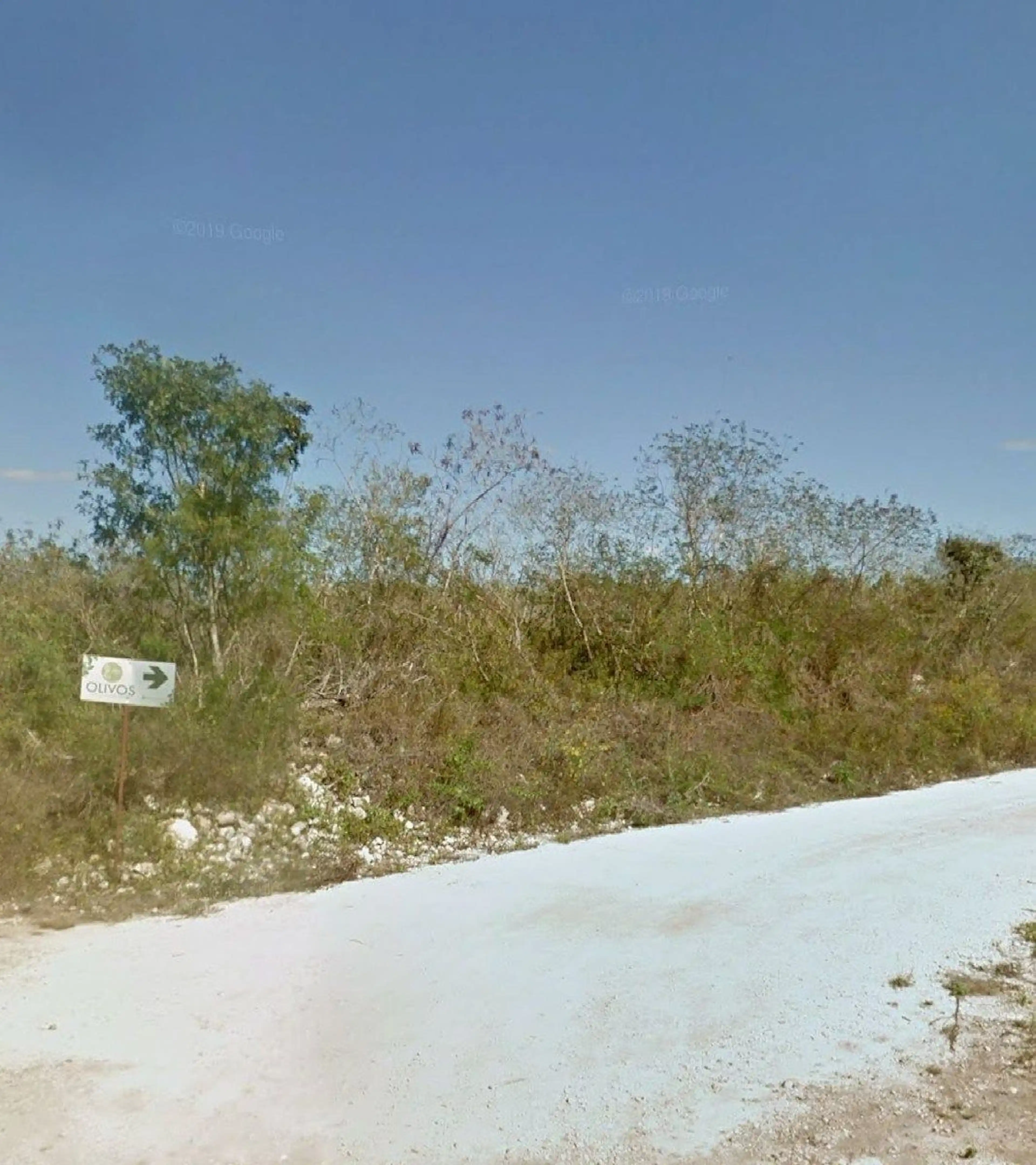 Terreno En Olivos, Conkal Yucatan