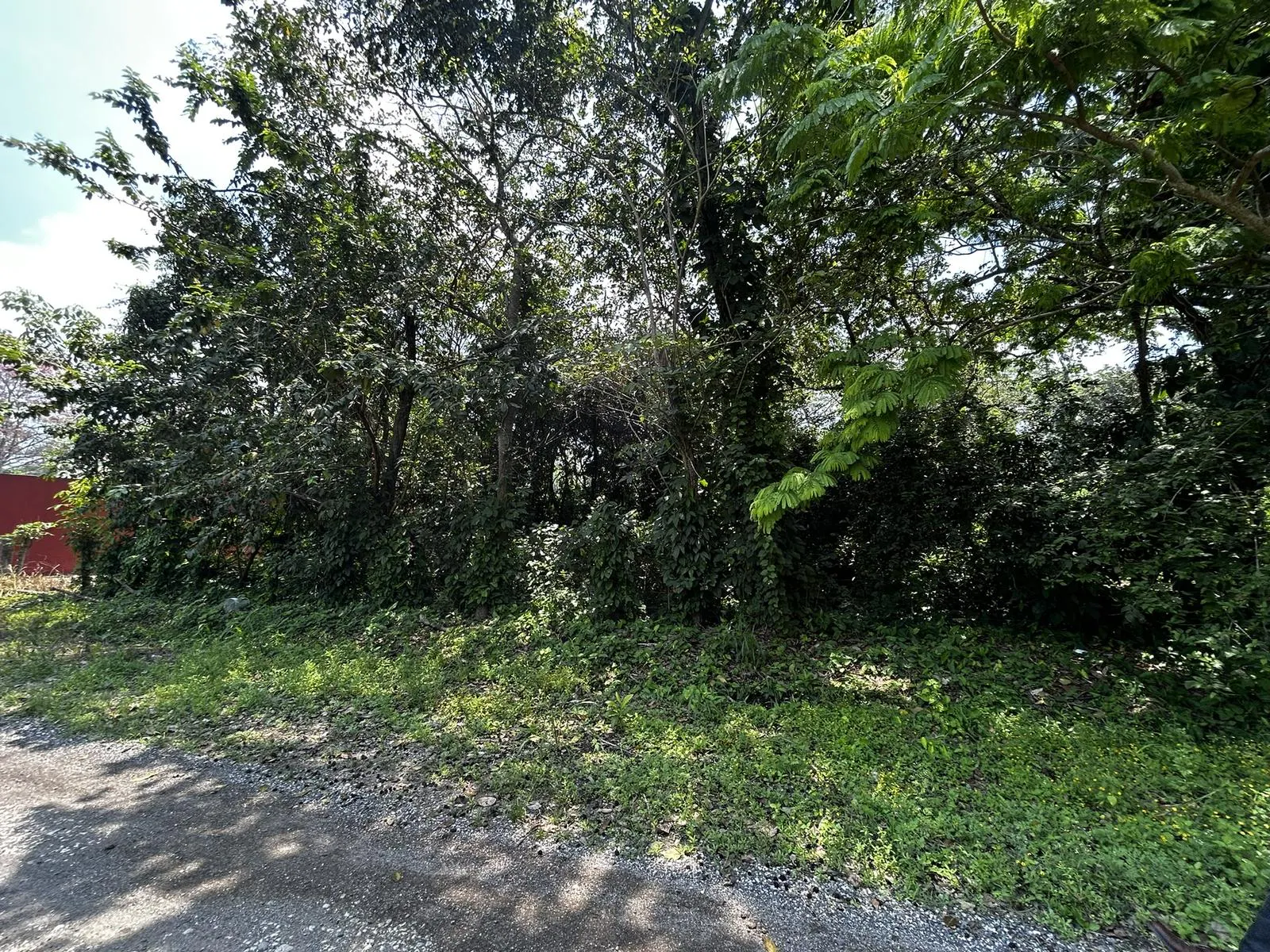 Terreno Spot2