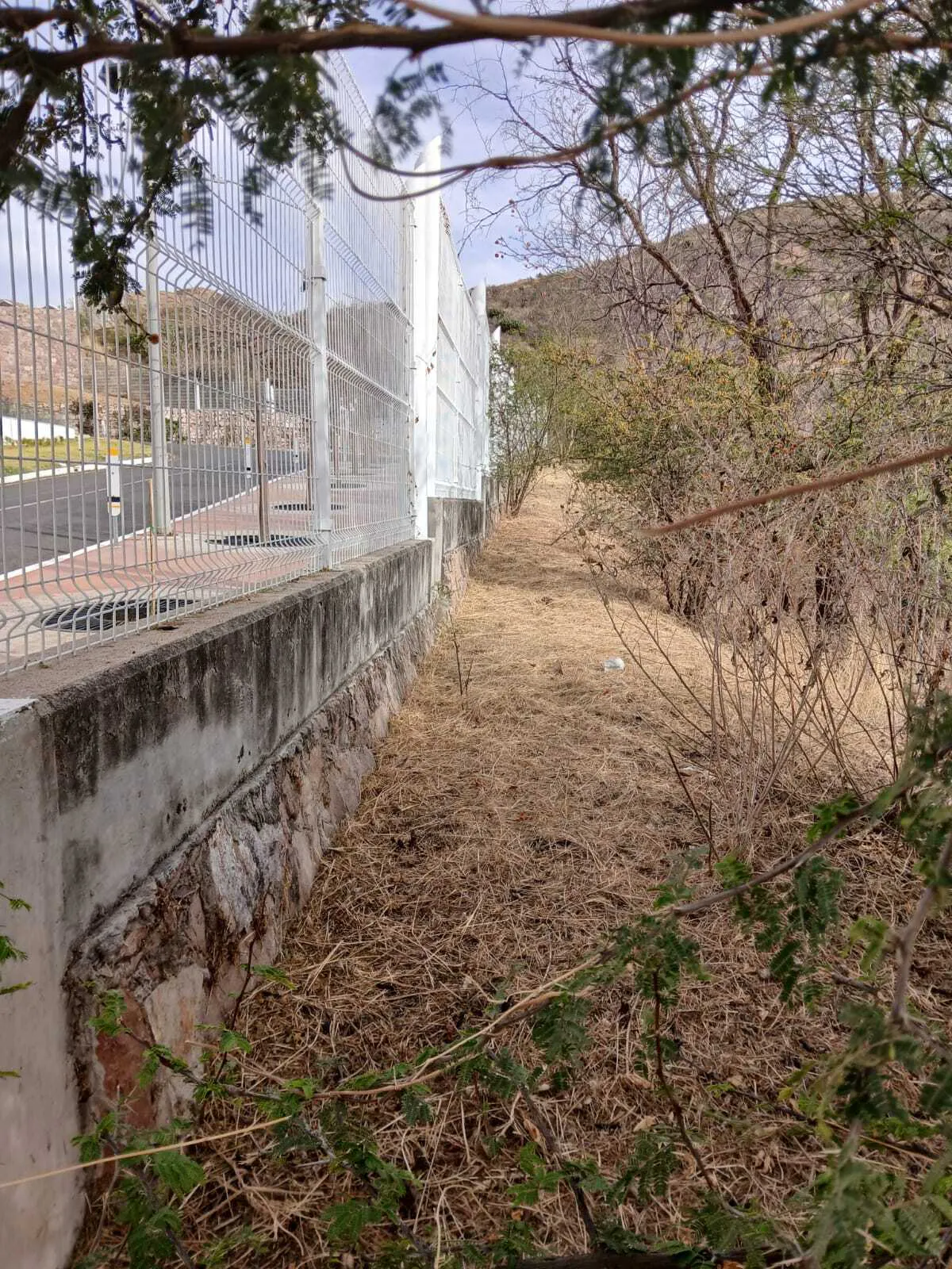 Terreno Spot2