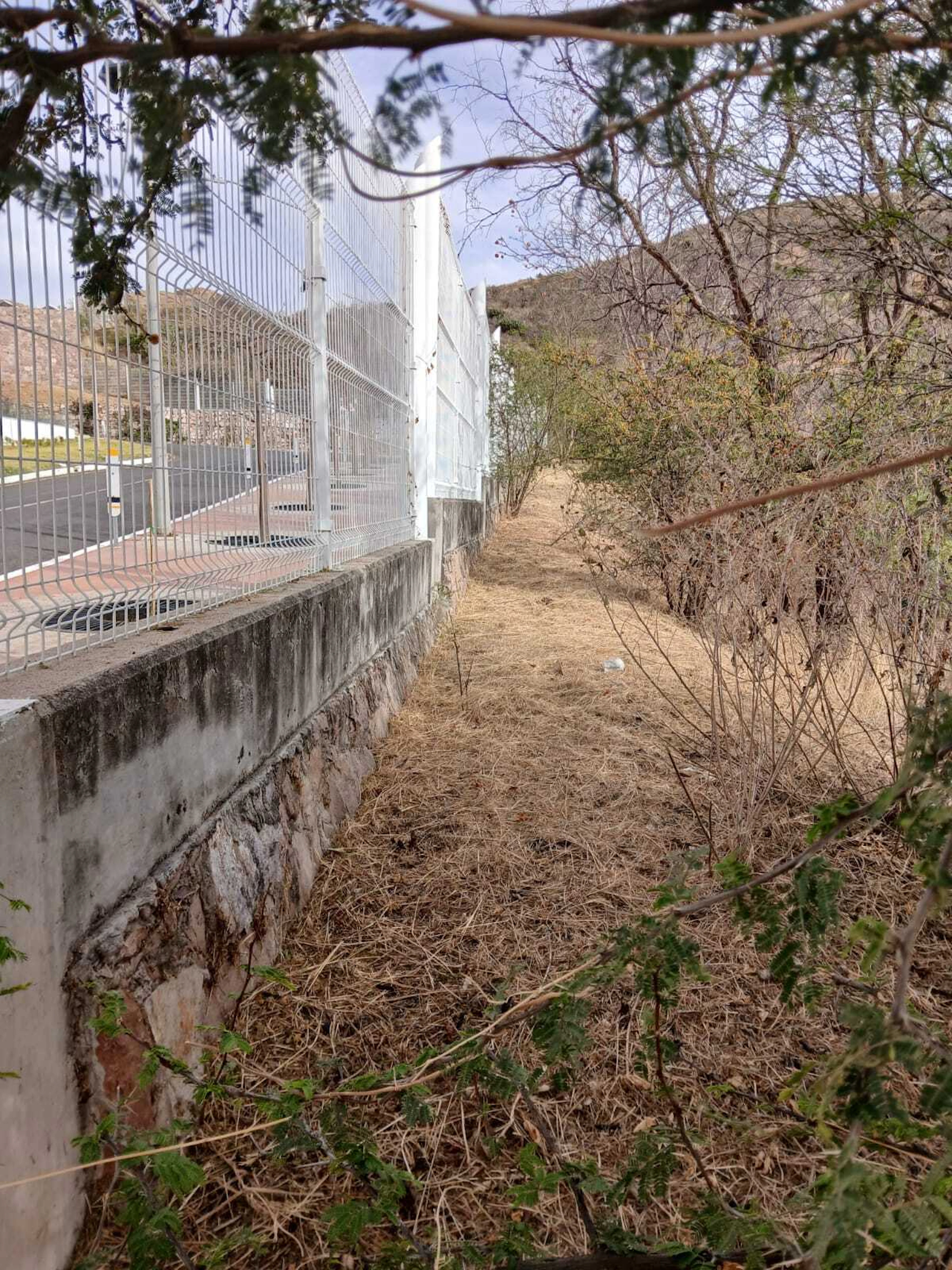 Terreno Spot2