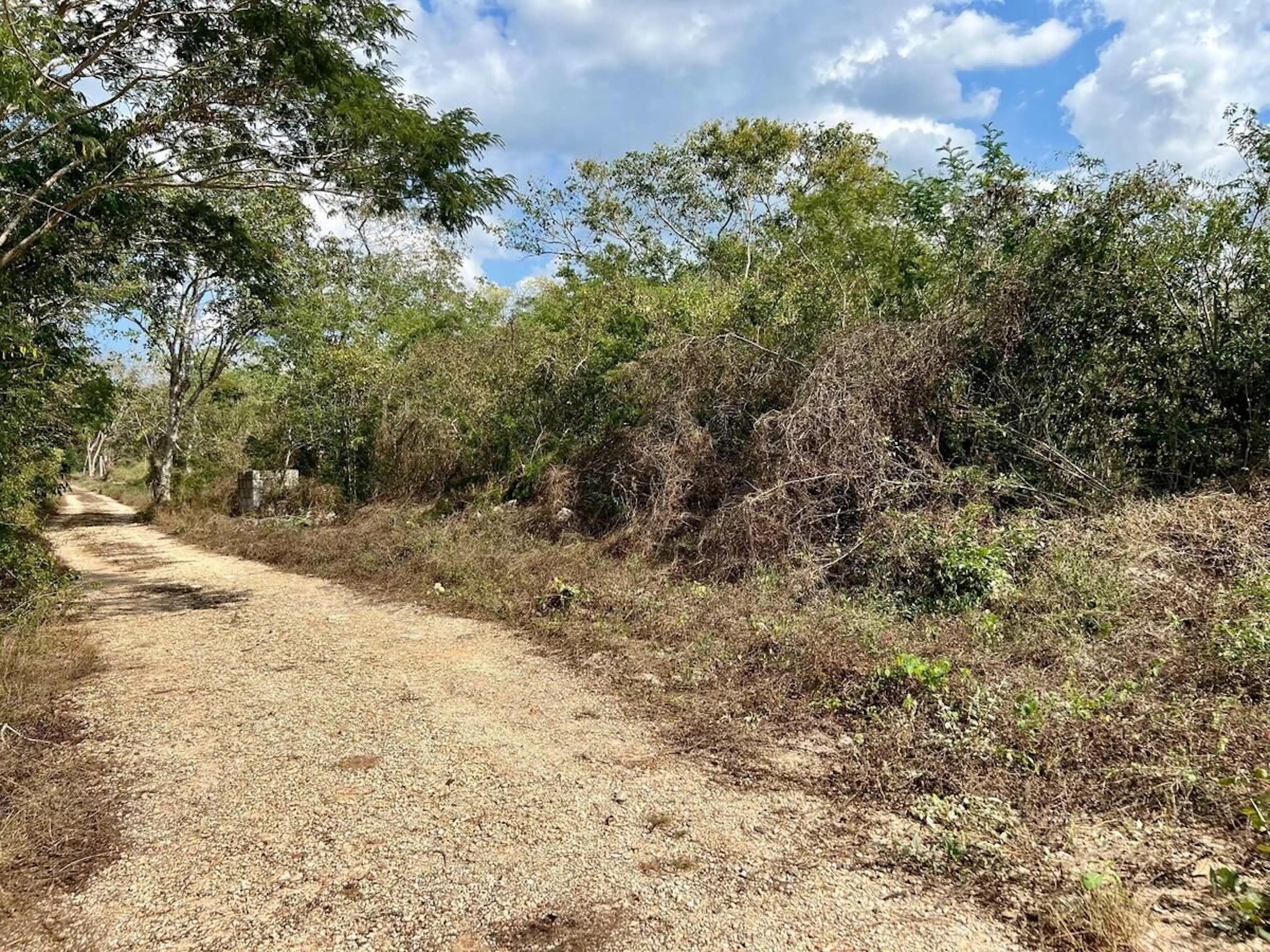 Venta de Terrenos en Xcunya-Country