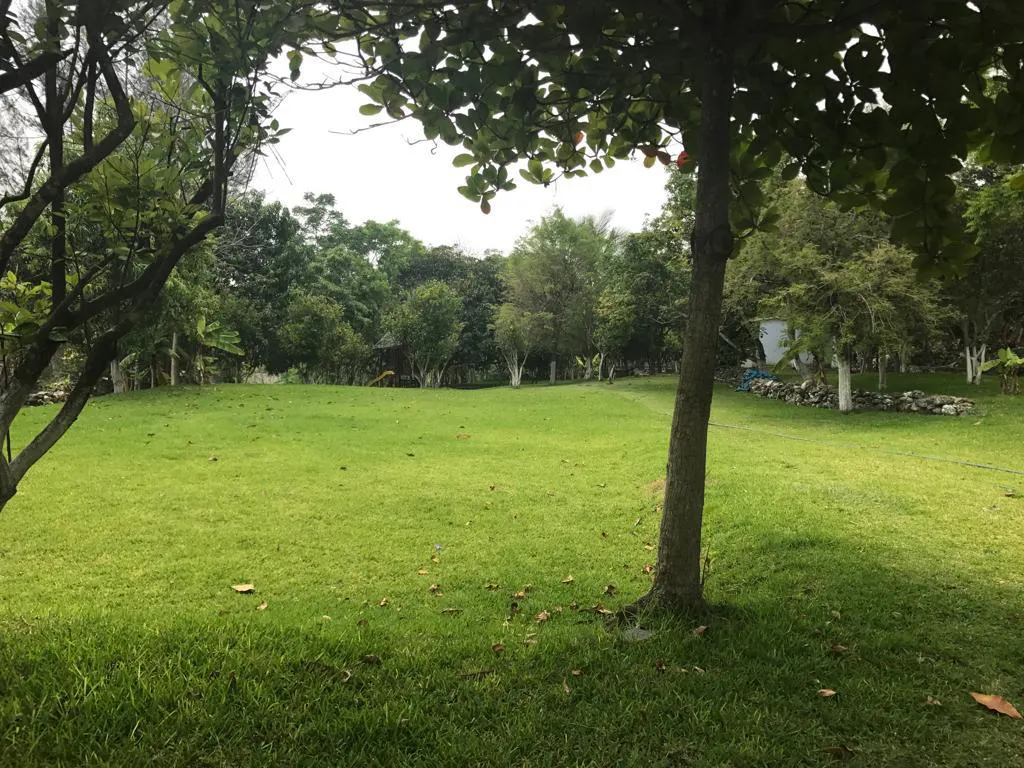 Terreno Spot2