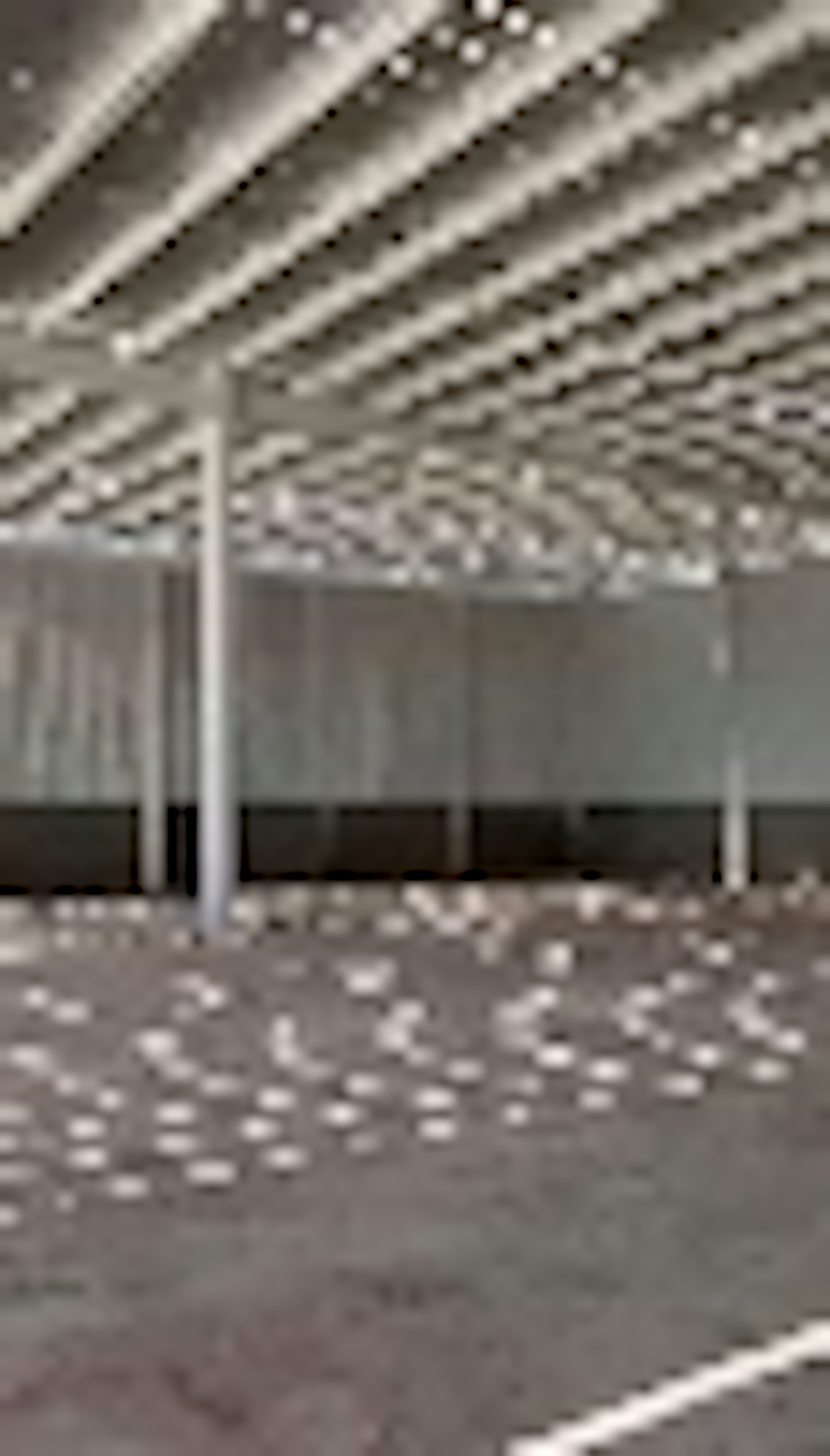 La imagen muestra un espacio interior con un techo alto y moderno, caracterizado por una estructura de luces en forma de rejilla. El diseño sugiere un edificio comercial o industrial de gran escala, posiblemente un centro comercial, oficina o espacio de exhibición. Las columnas blancas y el piso reflectante indican un ambiente limpio y contemporáneo, típico de propiedades inmobiliarias de alto nivel en el sector comercial.
