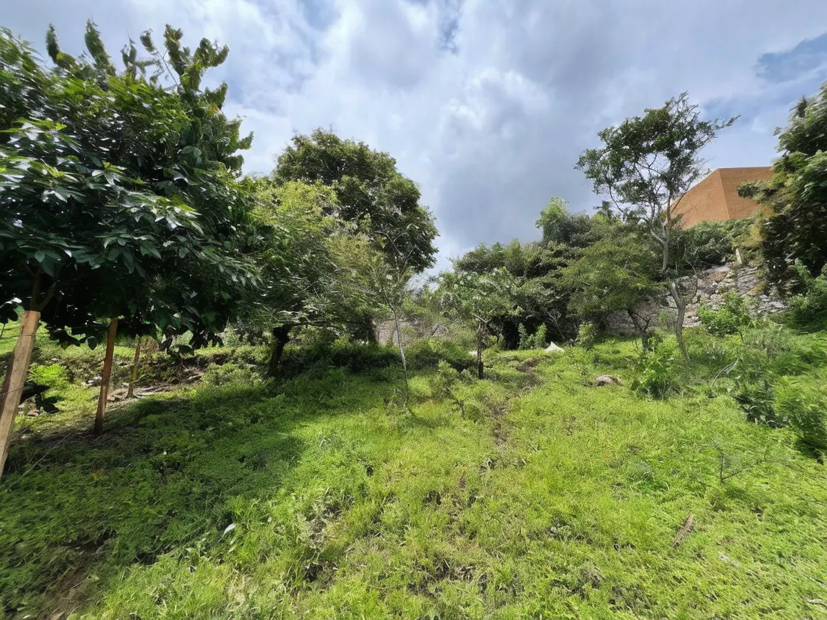 Terreno Spot2