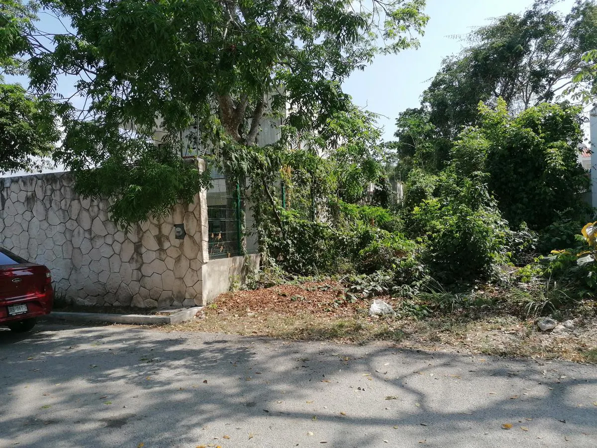 Terreno Spot2