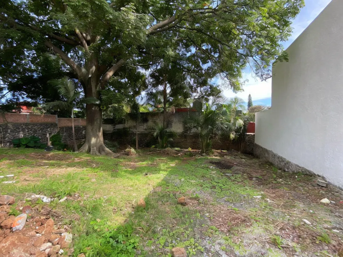 Terreno Spot2