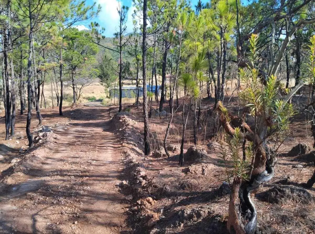 Terreno Spot2
