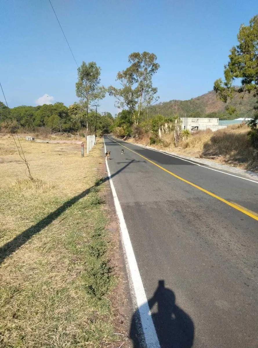 Terreno Spot2
