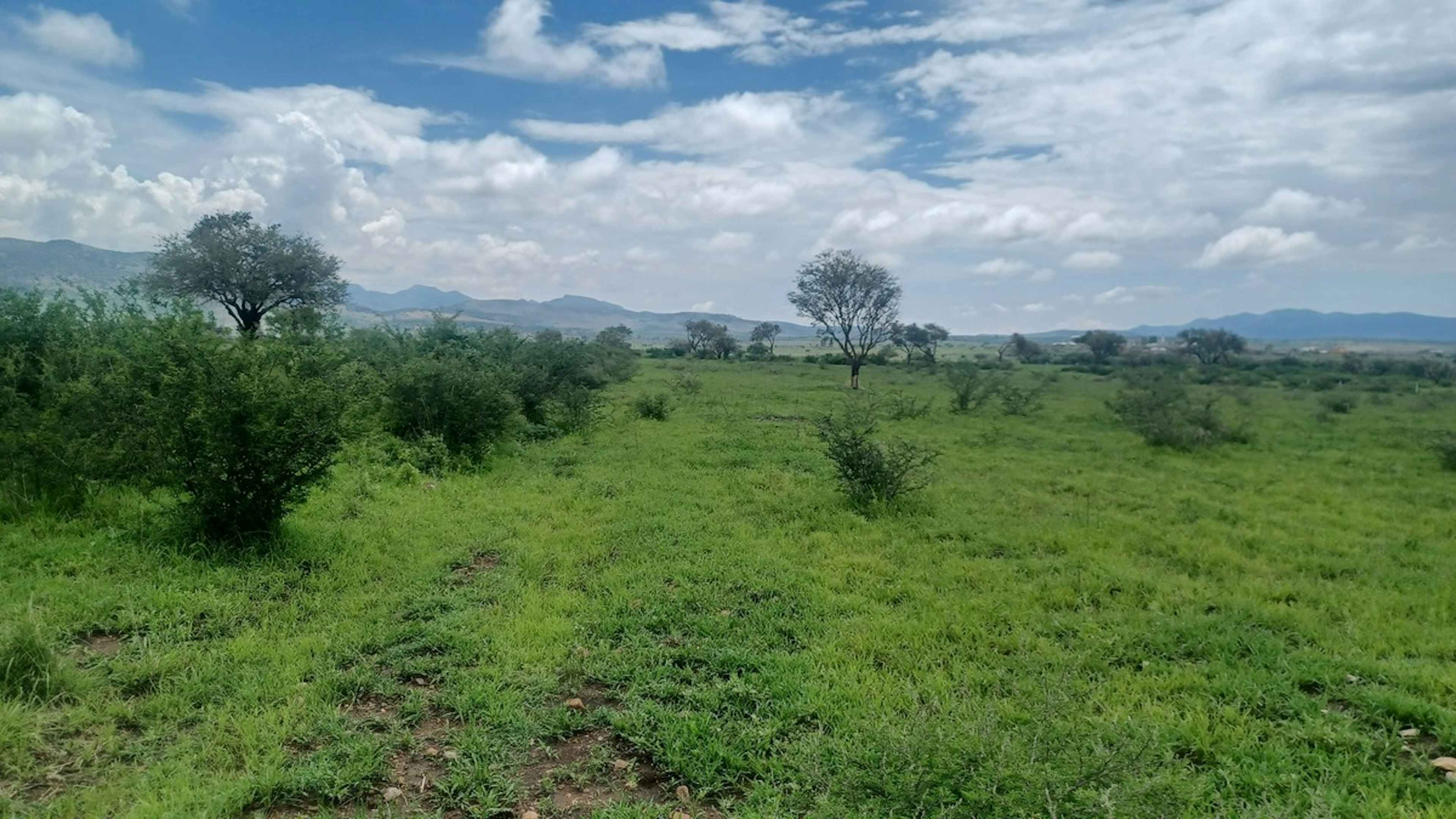 Cienega Del Pedregal