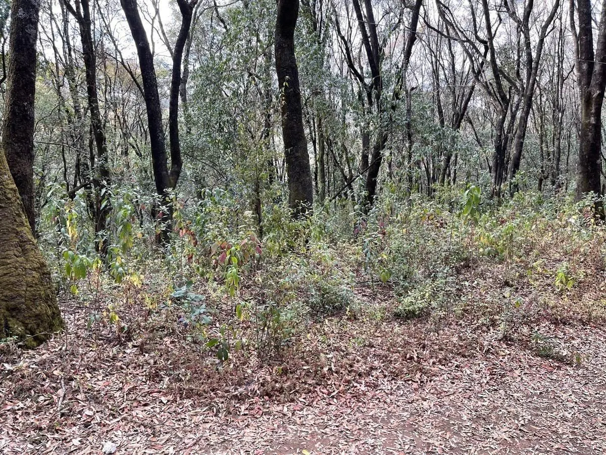 Terreno Spot2