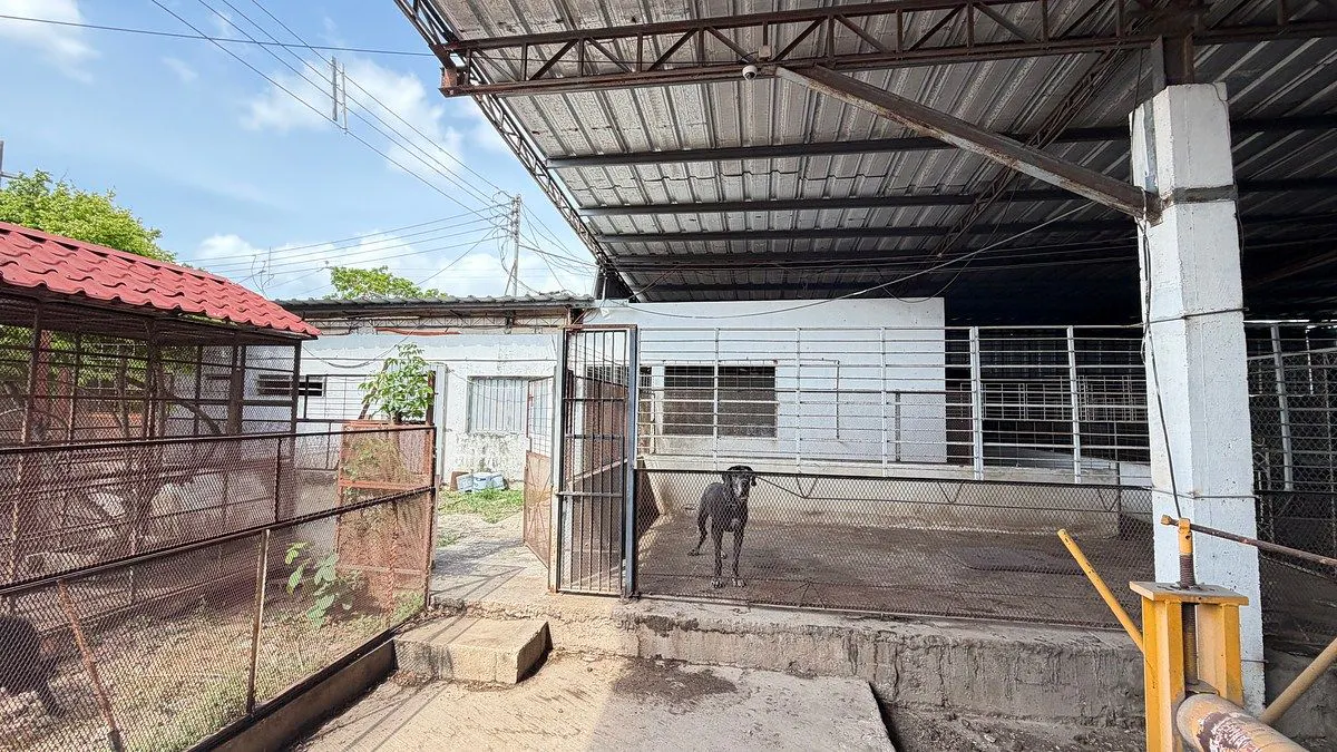 Industrial Spot2