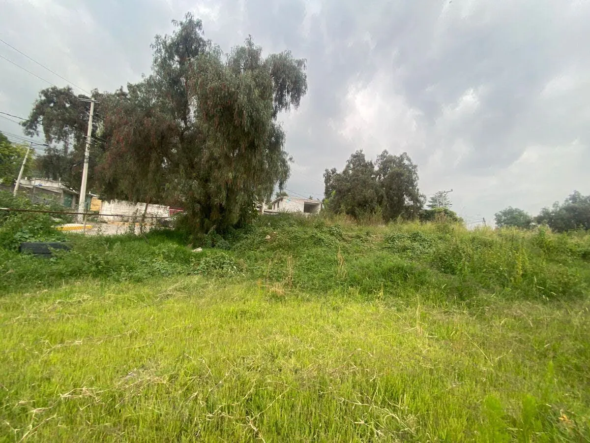 Terreno Spot2