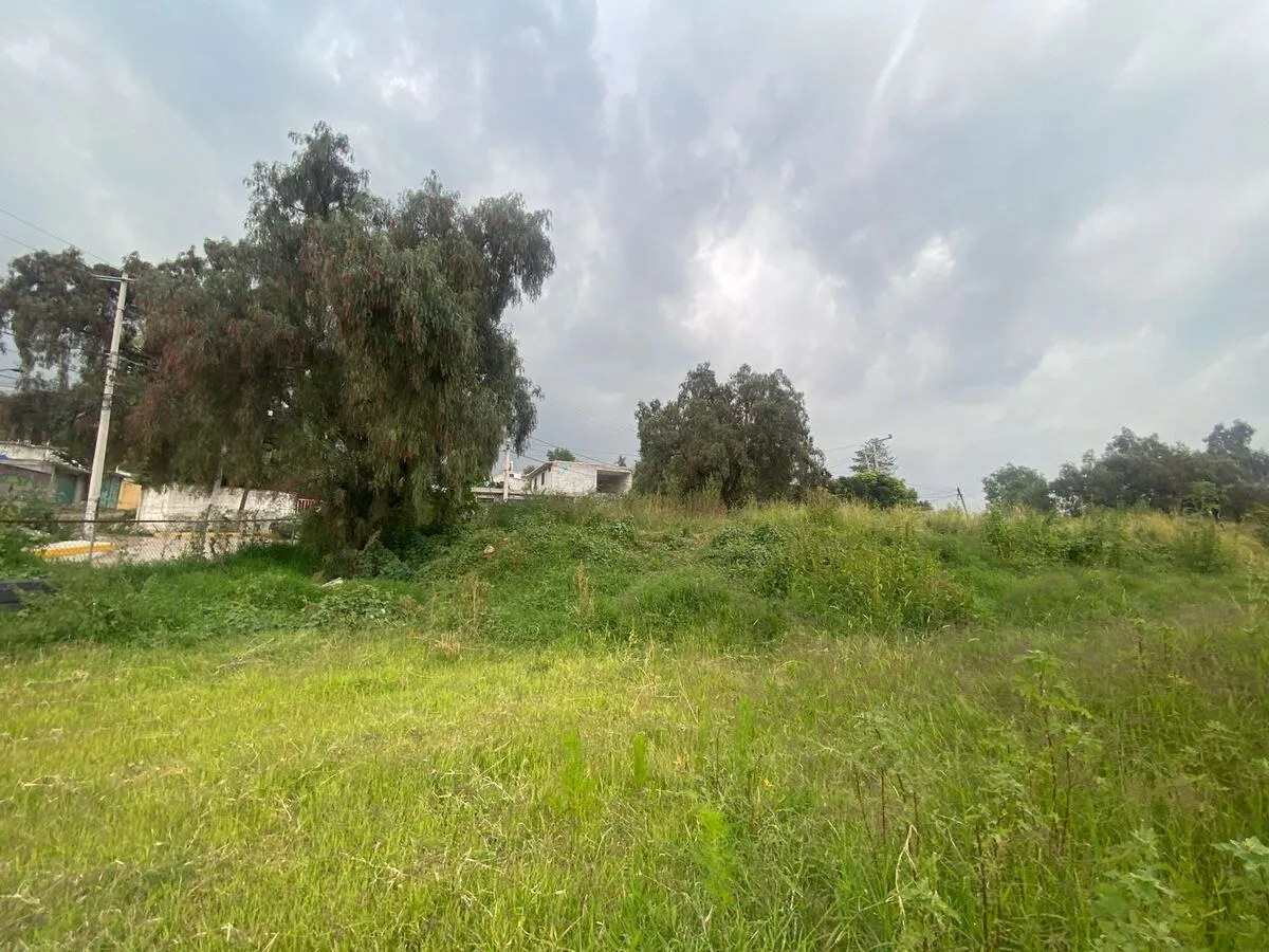 Terreno Spot2