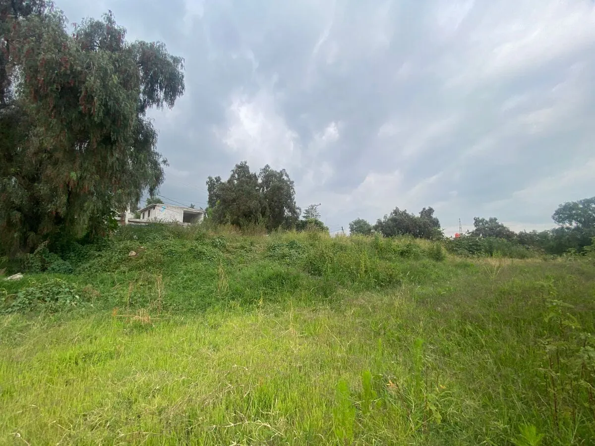 Terreno Spot2