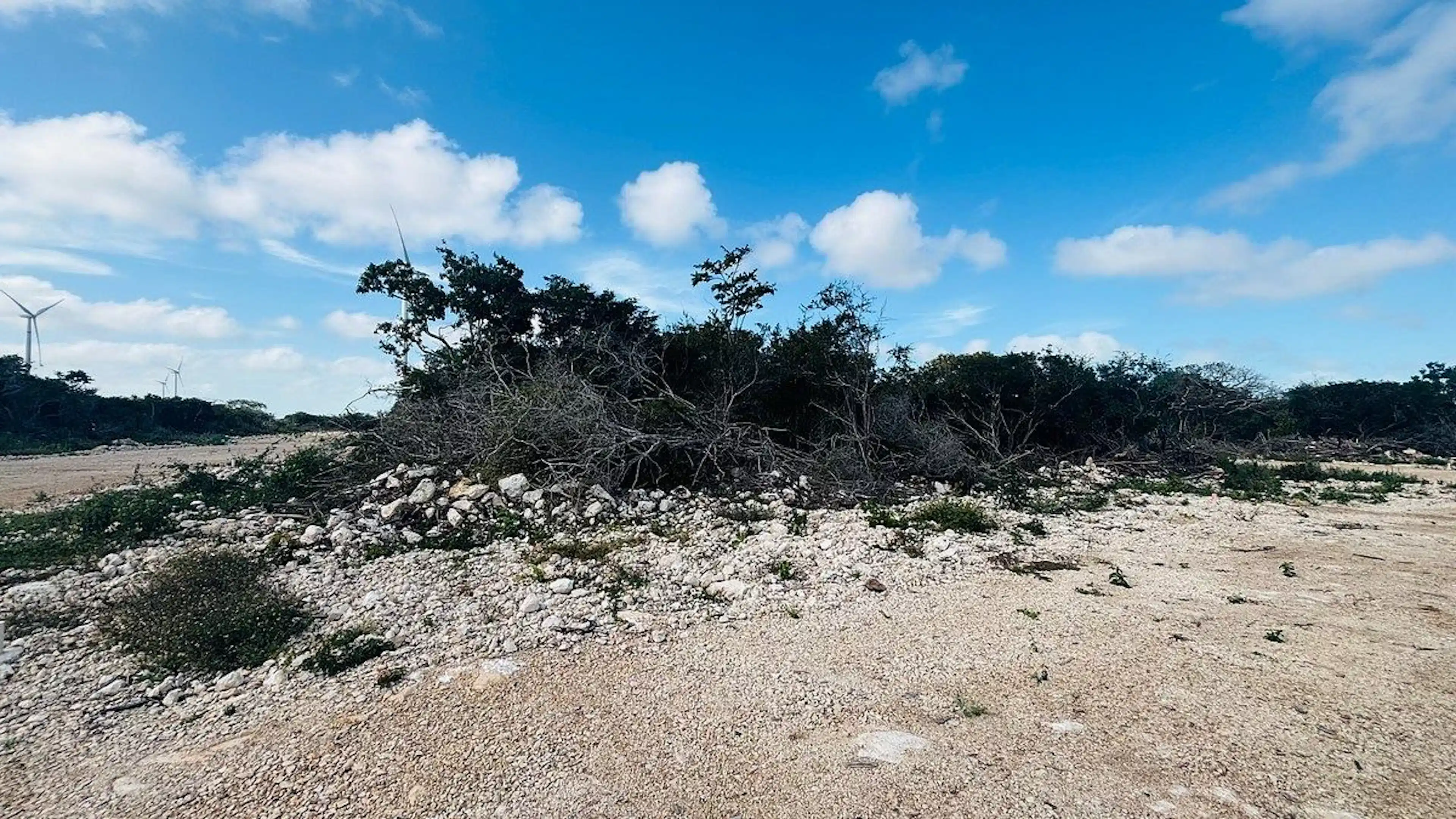 Venta de terreno en Chicxulub en carretera Conkal - Chicxulub