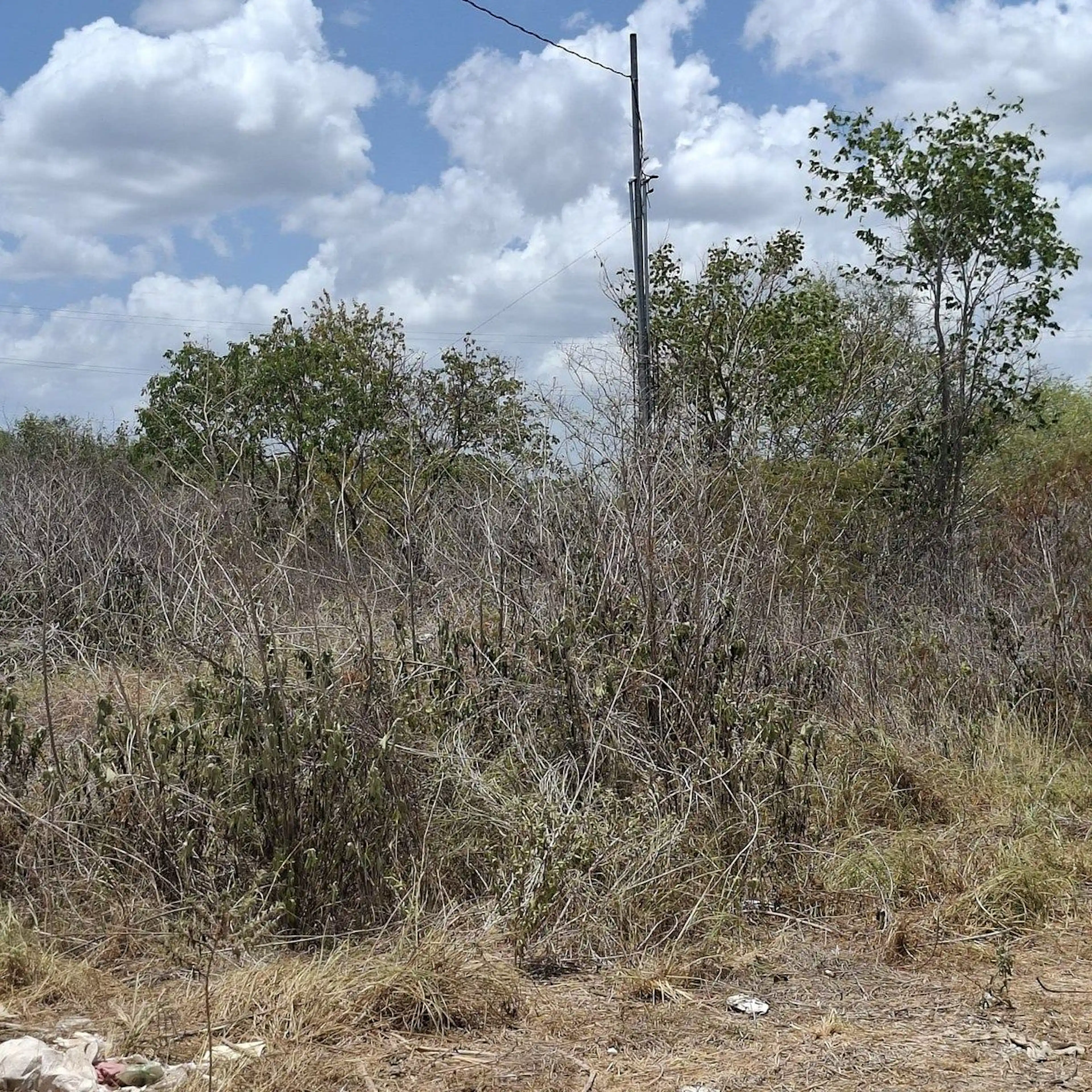 Dos Terrenos Contiguos De 22.5x60 M C/u En Tixcuytun