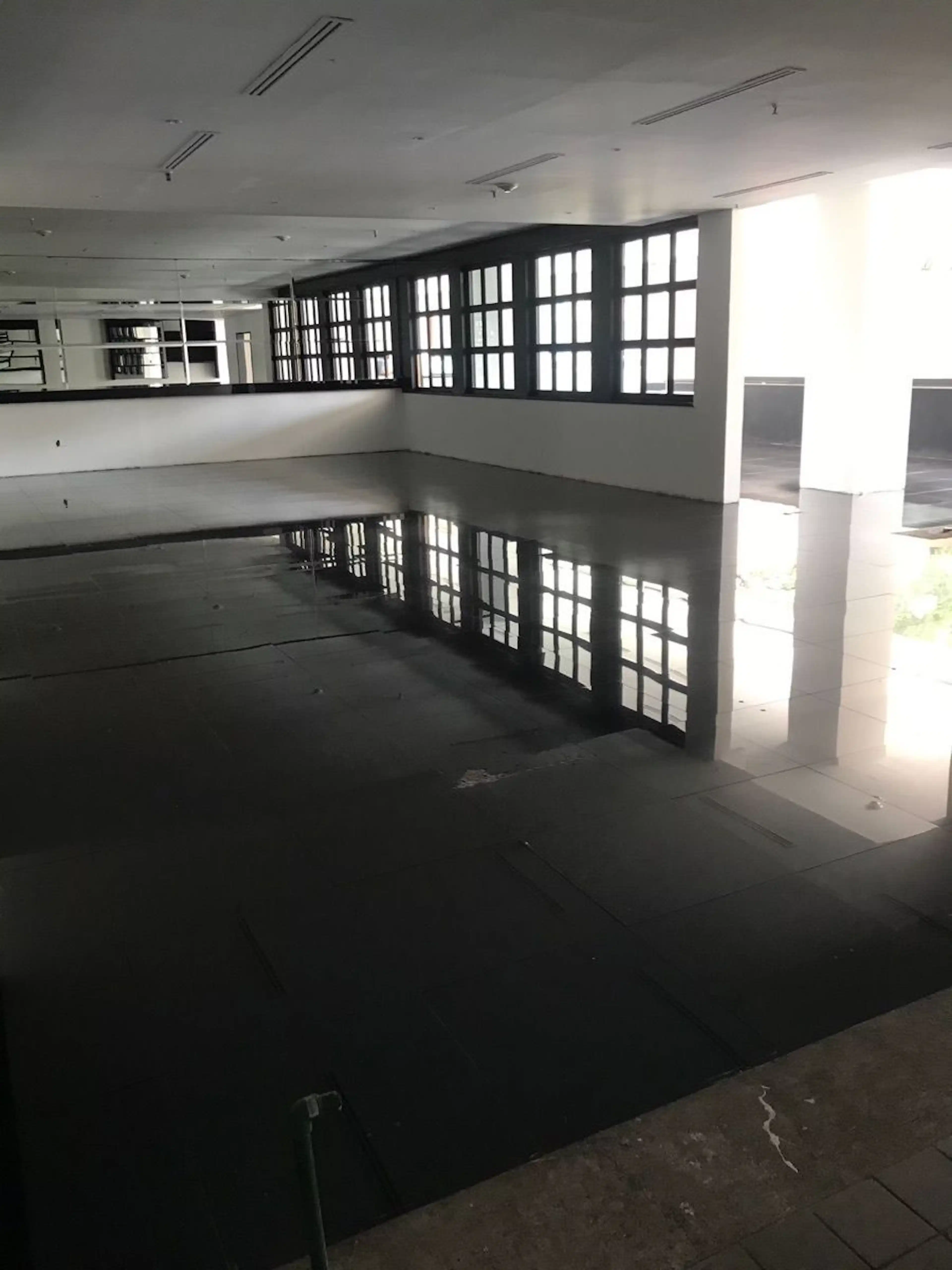 Avenida Paseo De Las Palmas