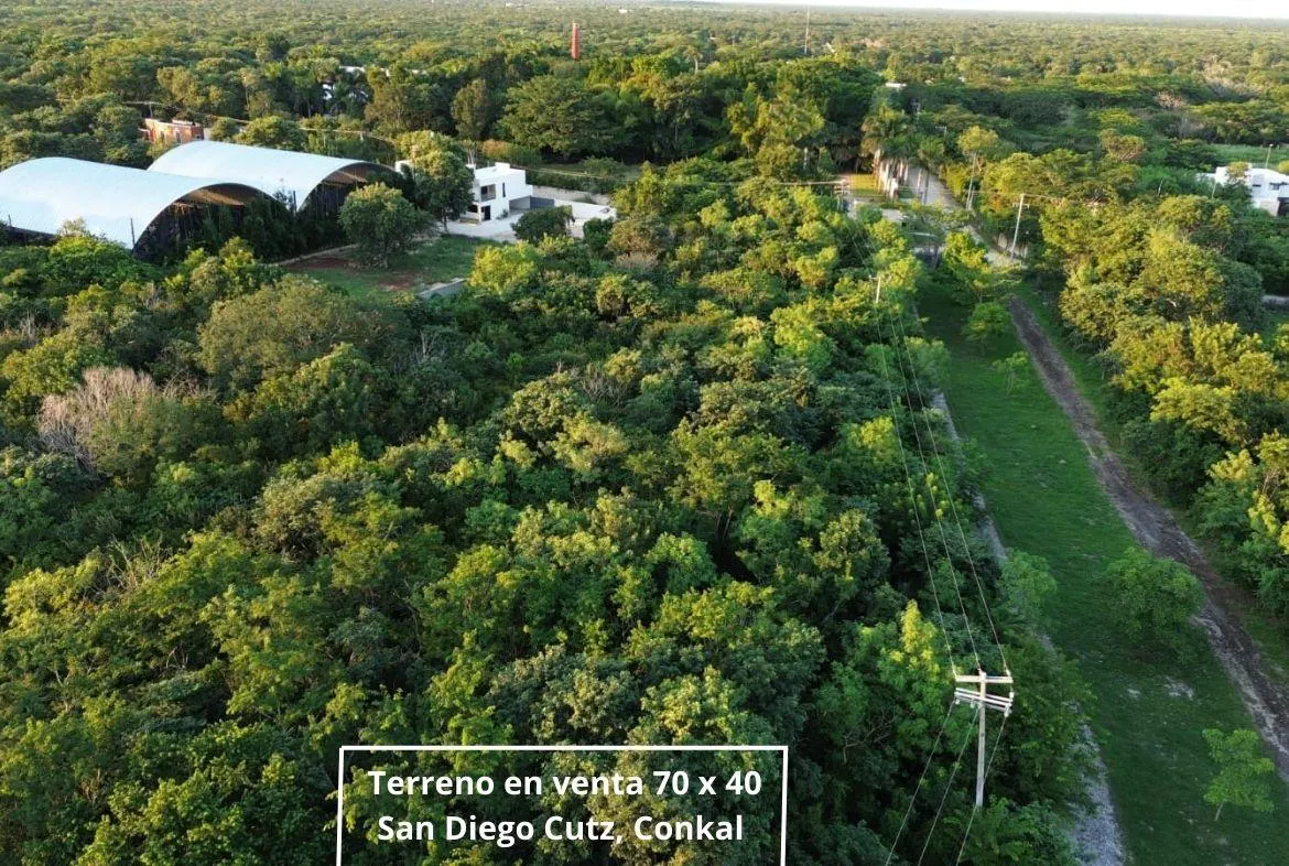 Terreno Spot2