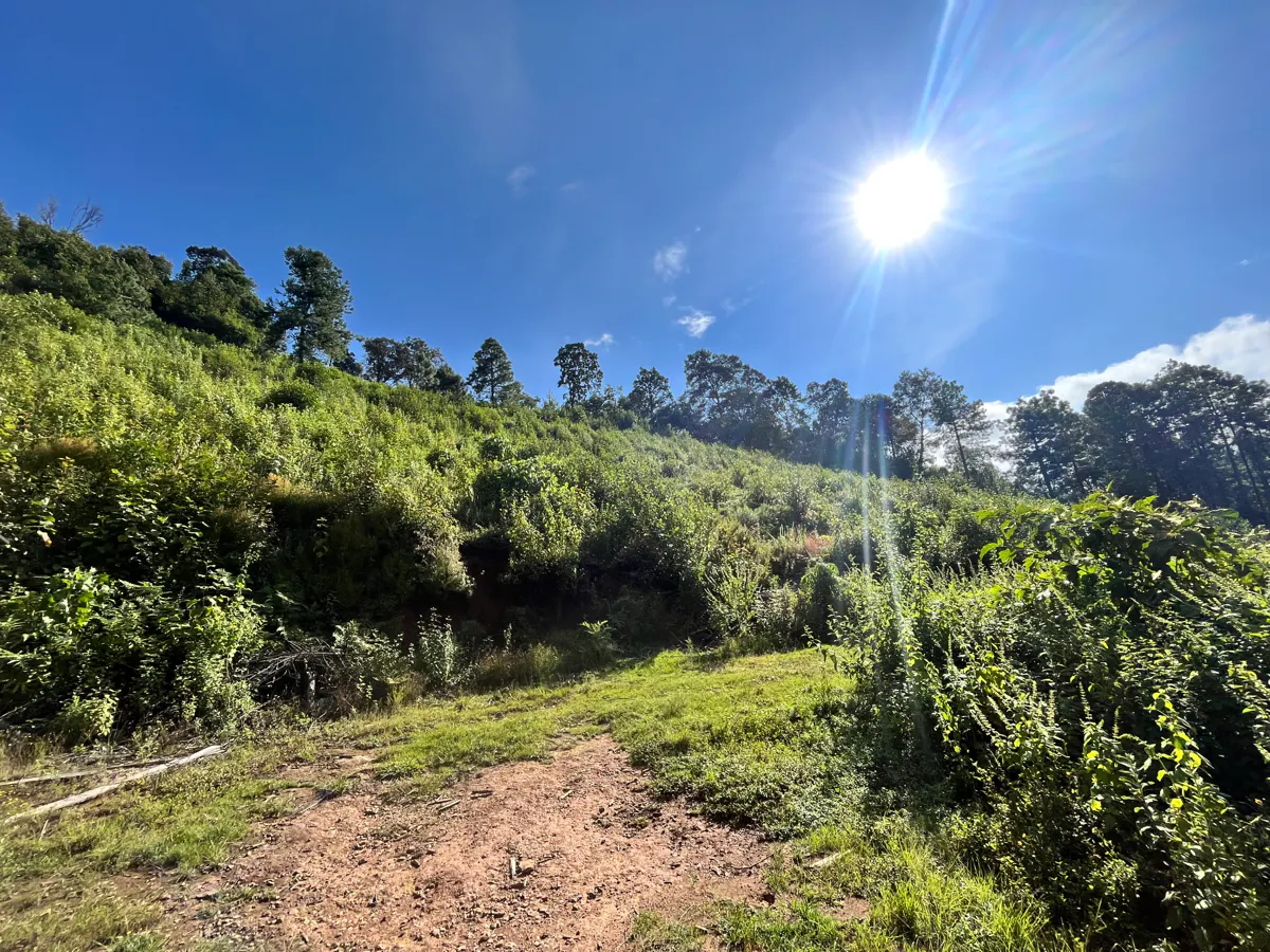 Terreno Spot2