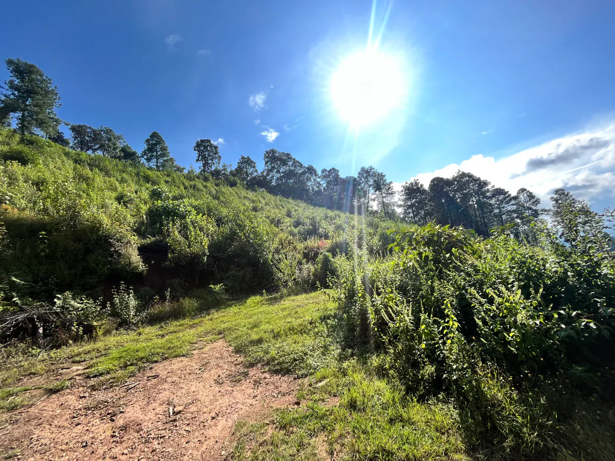 Terreno Spot2