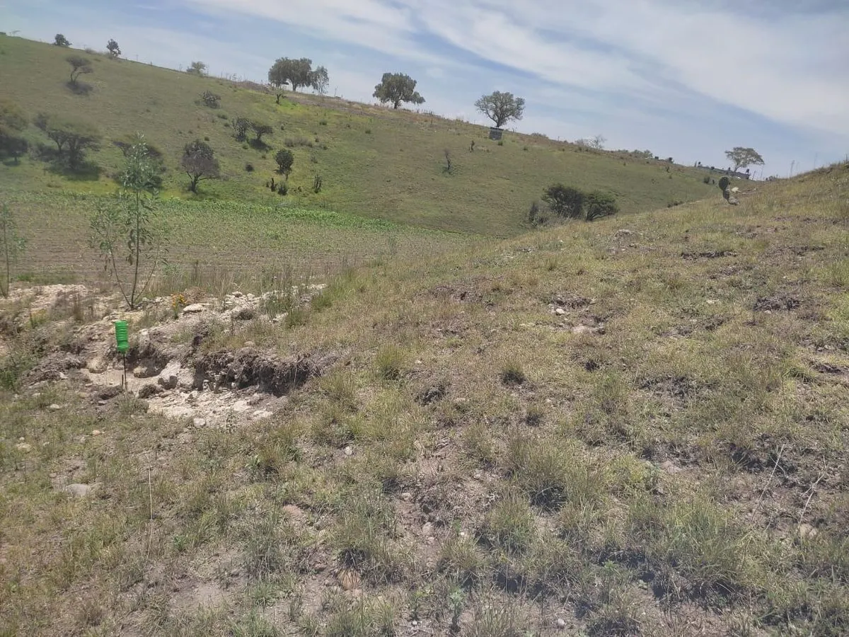 Terreno Spot2