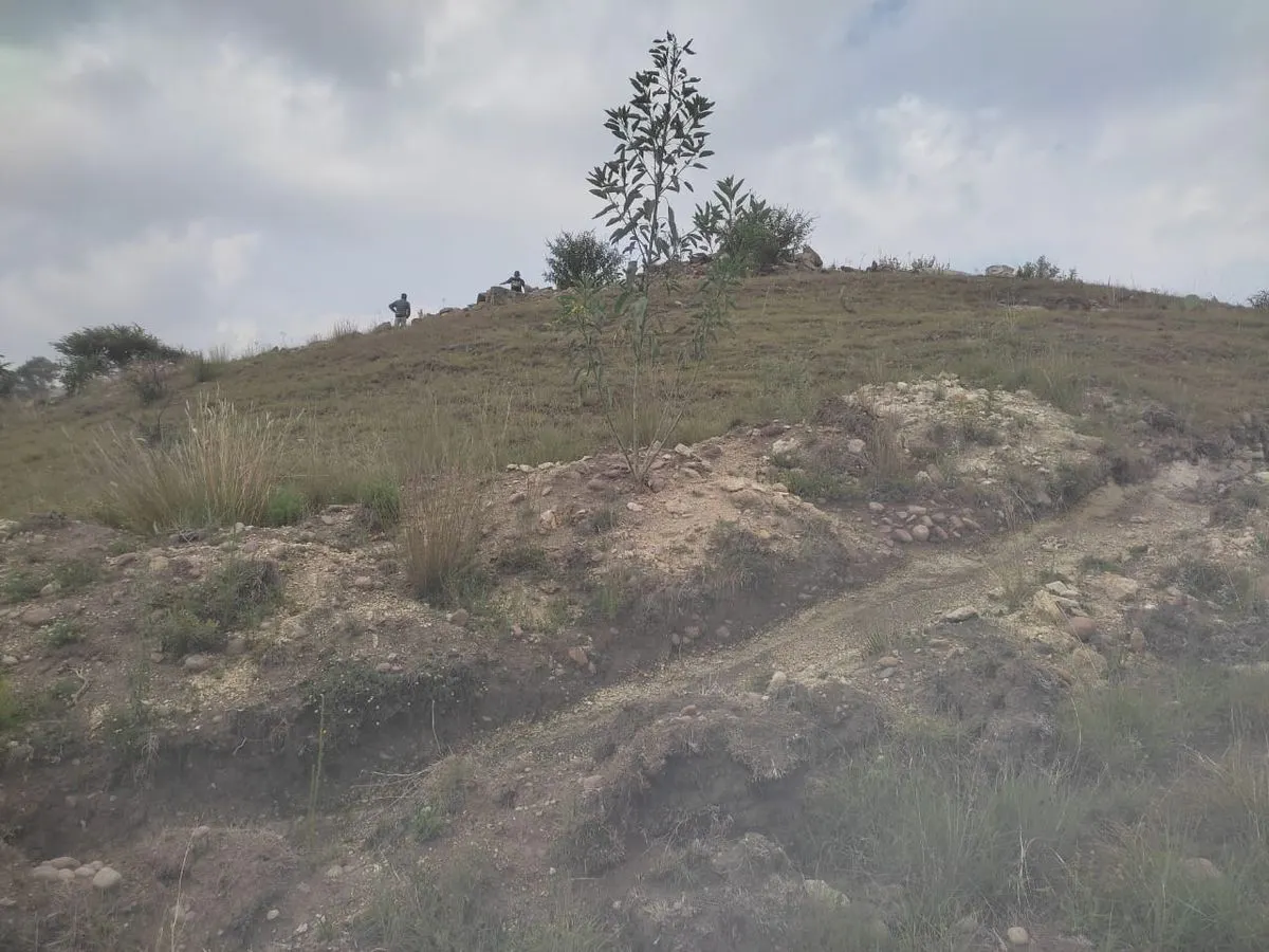 Terreno Spot2