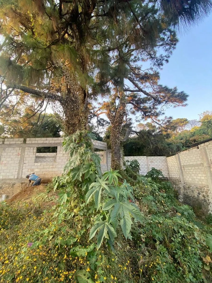 Terreno Spot2