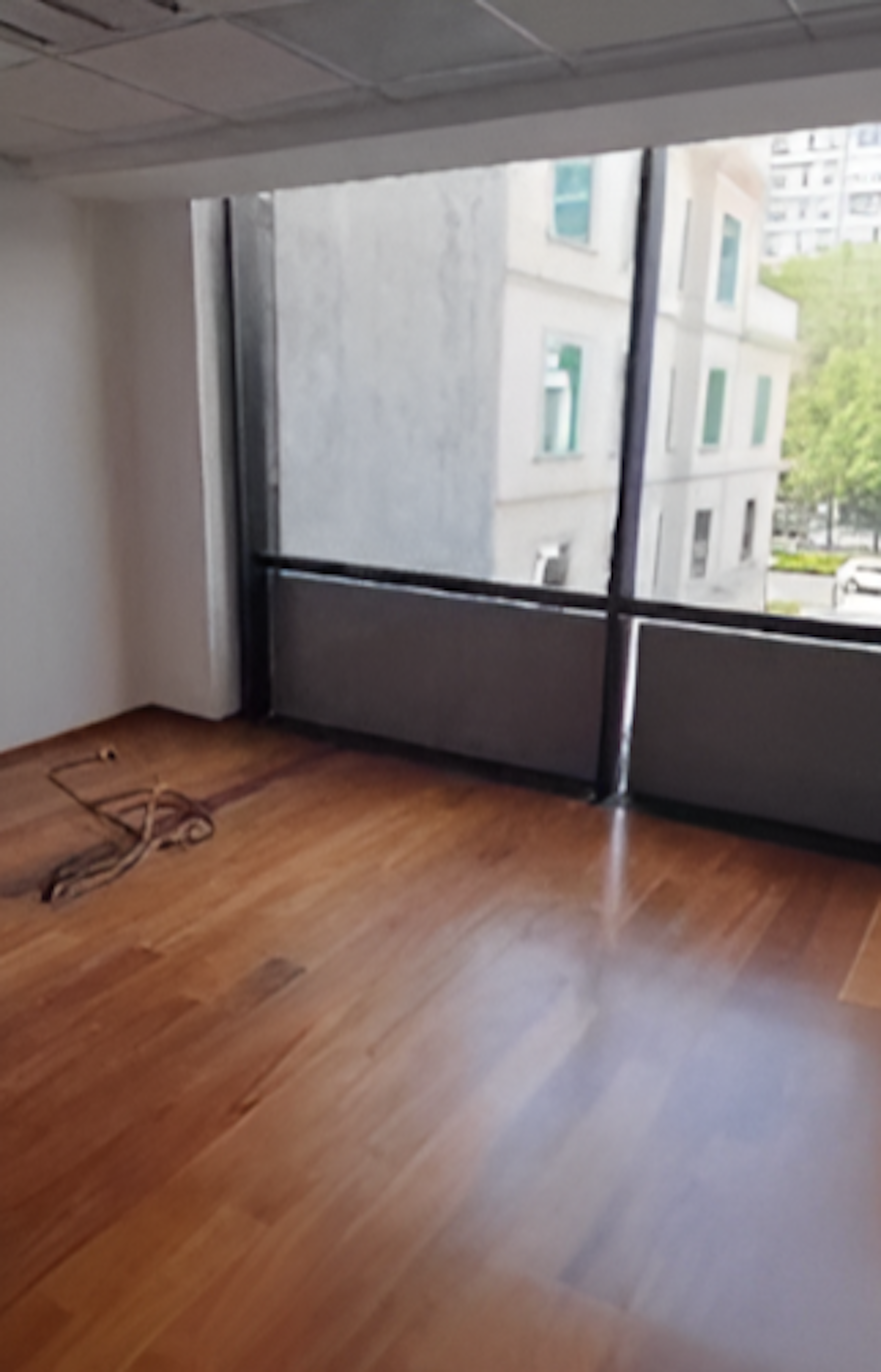 Spot image 0