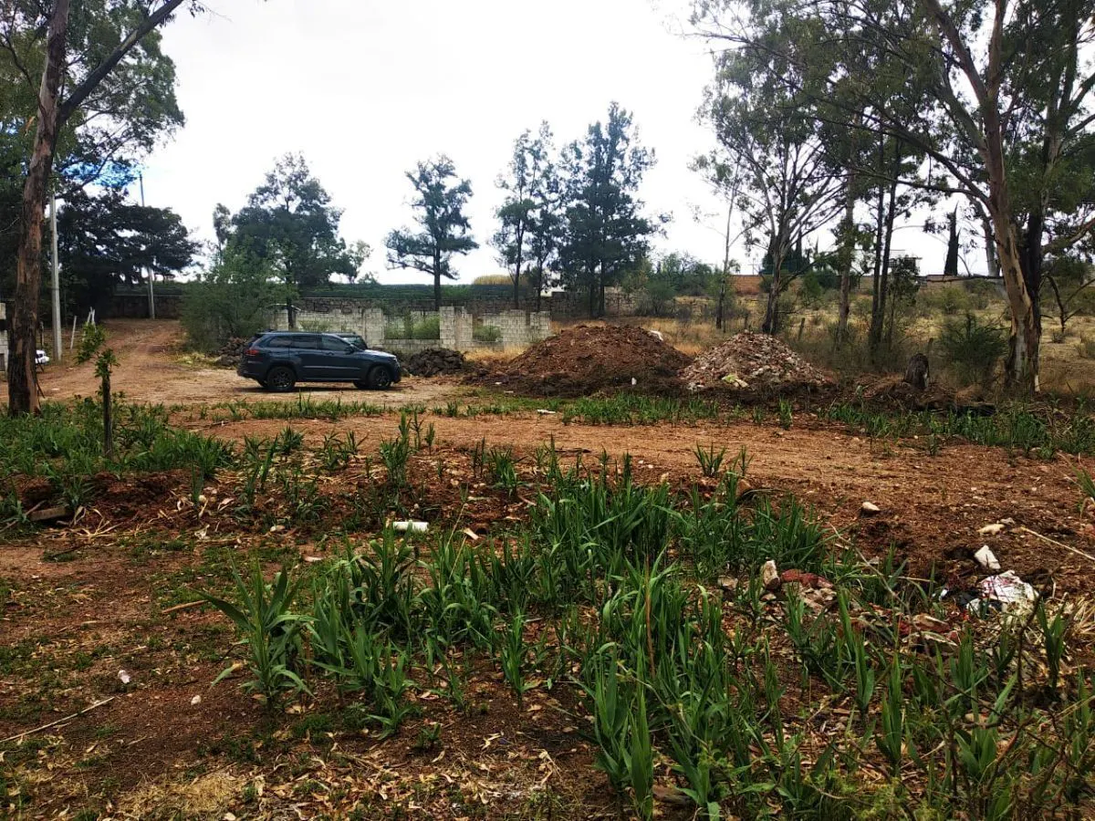 Terreno Spot2