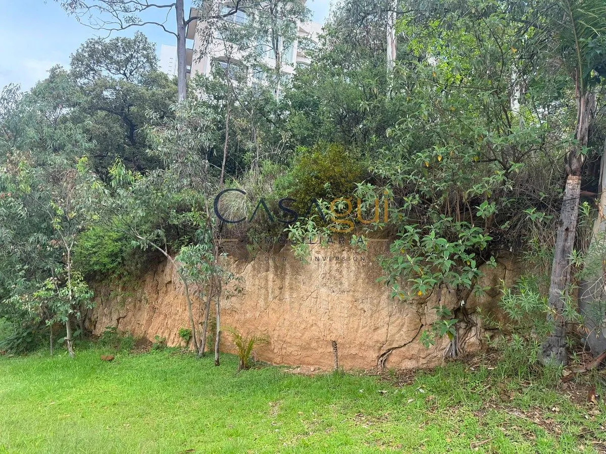 Terreno Spot2