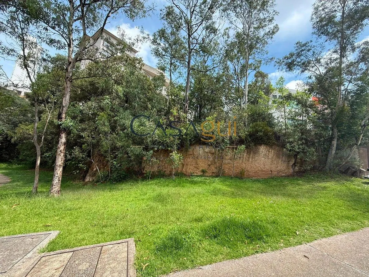 Terreno Spot2
