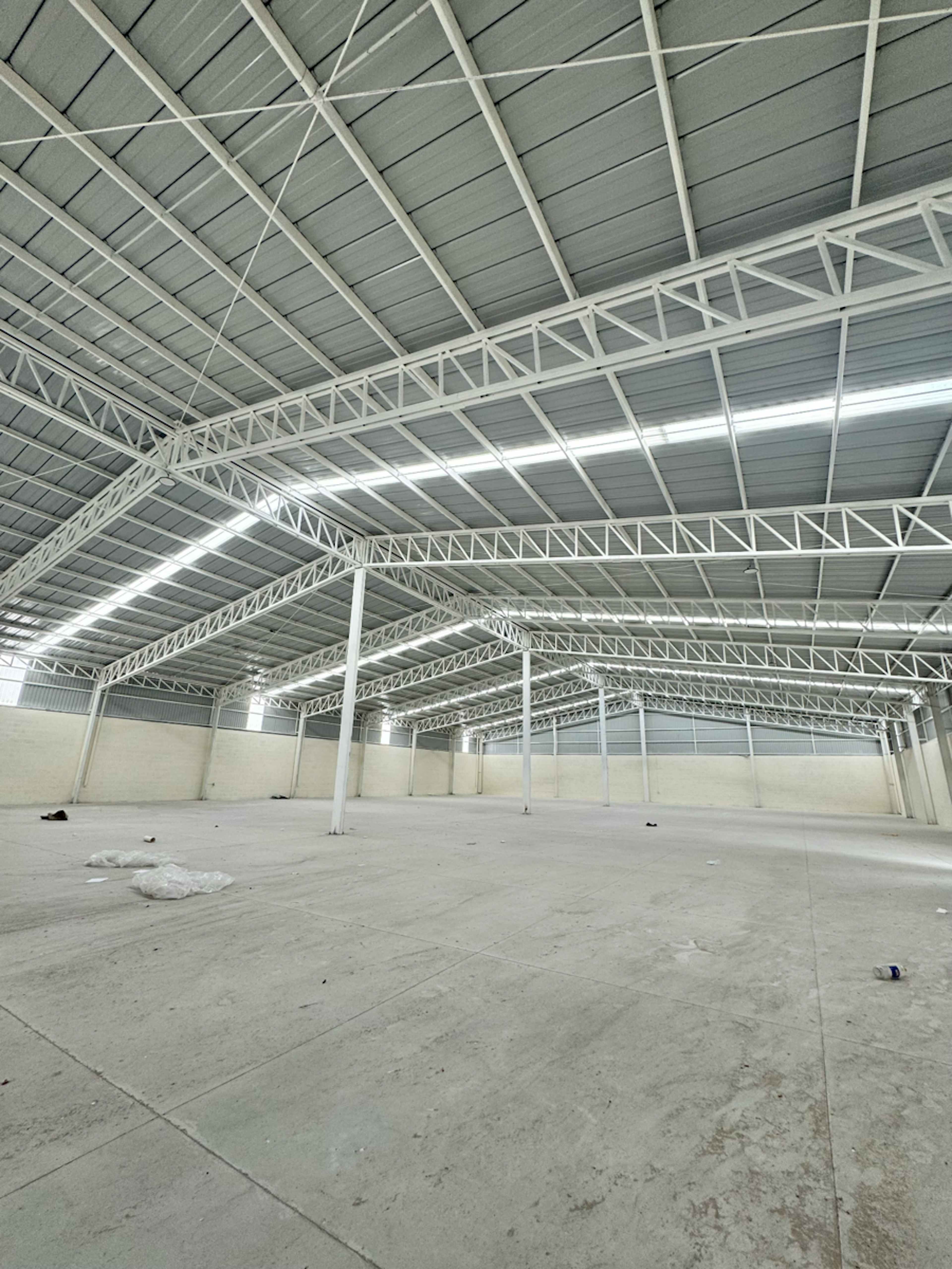 Ejido Lo De Juárez S/n