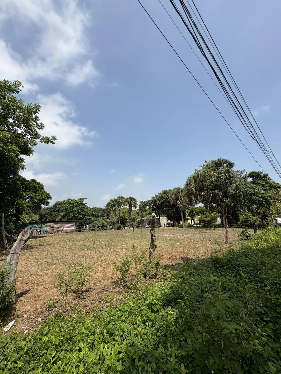 Terreno Spot2