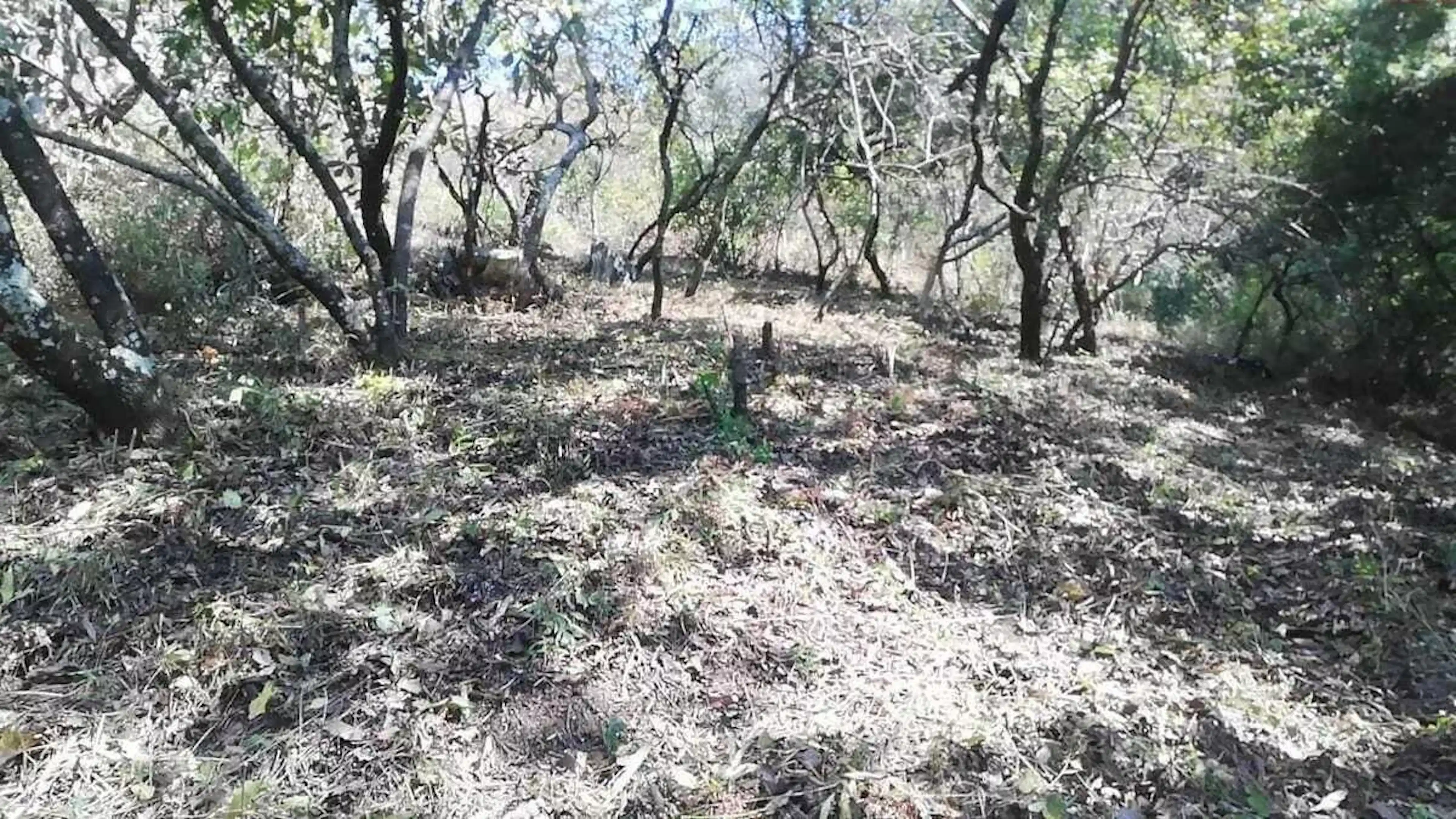 Pequeño terreno en Rinconada Valle