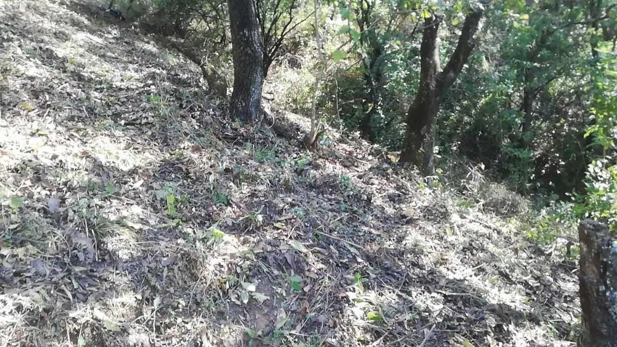 Terreno Spot2