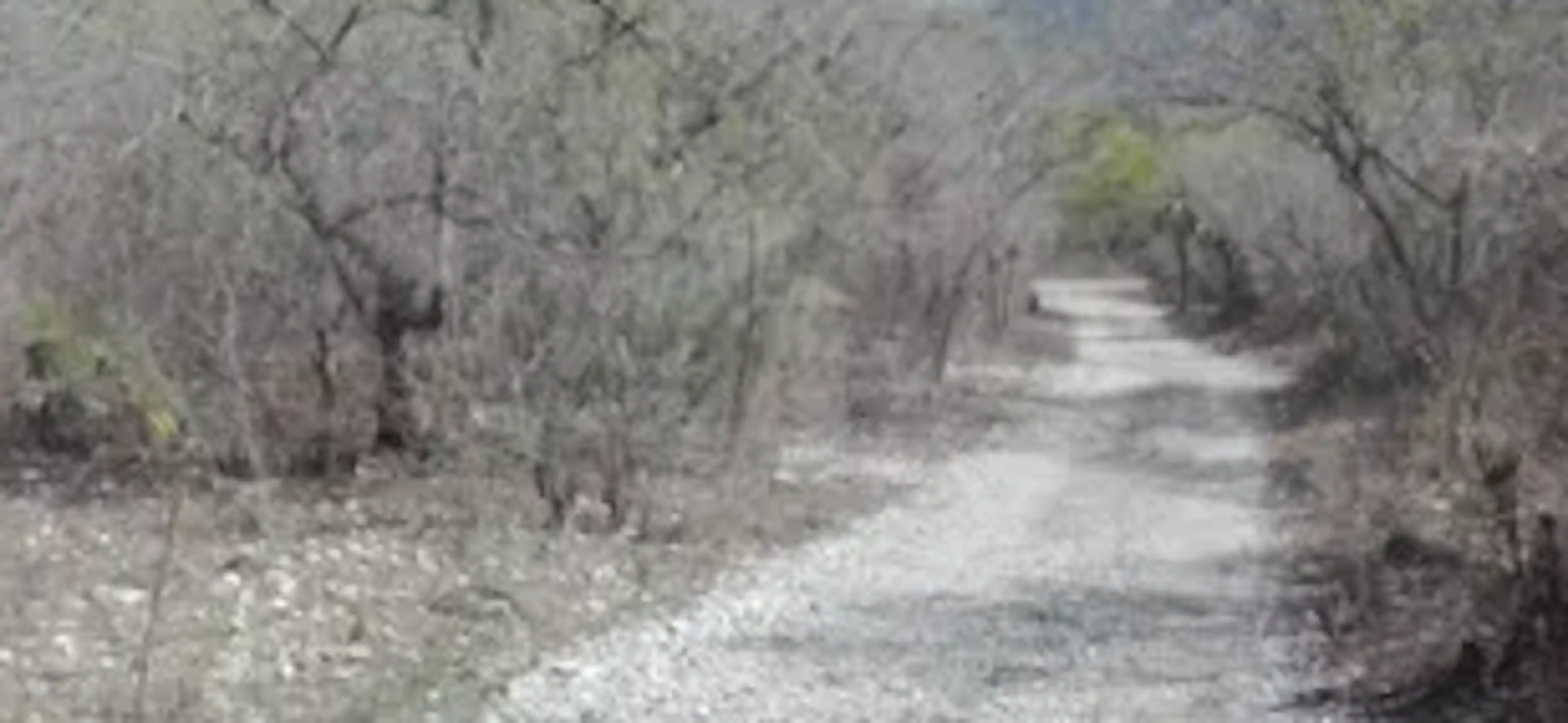 Carretera Numero 85 Cd. Victoria – Llera De Canales,