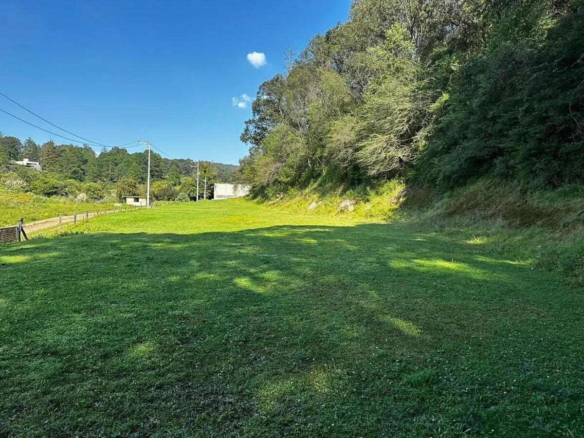 Terreno Spot2
