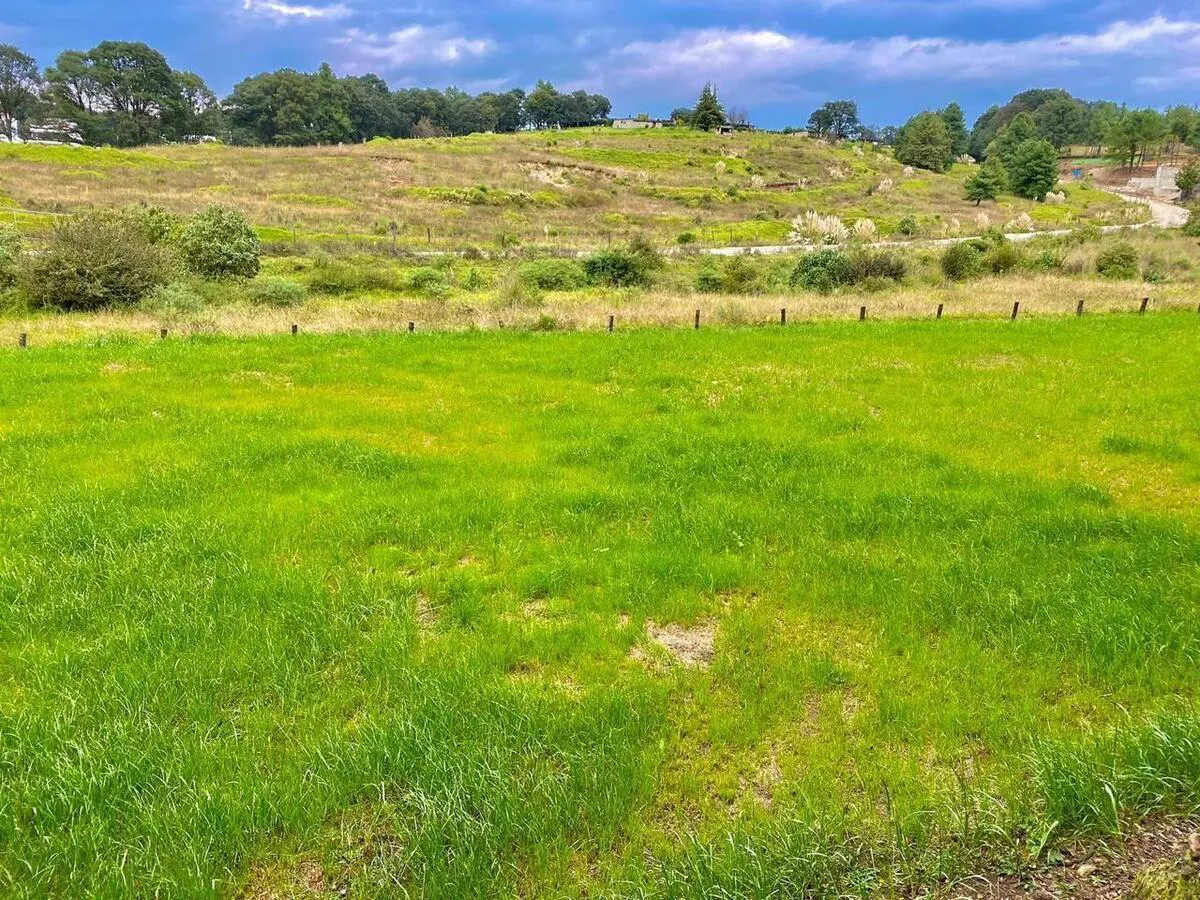 Terreno Spot2