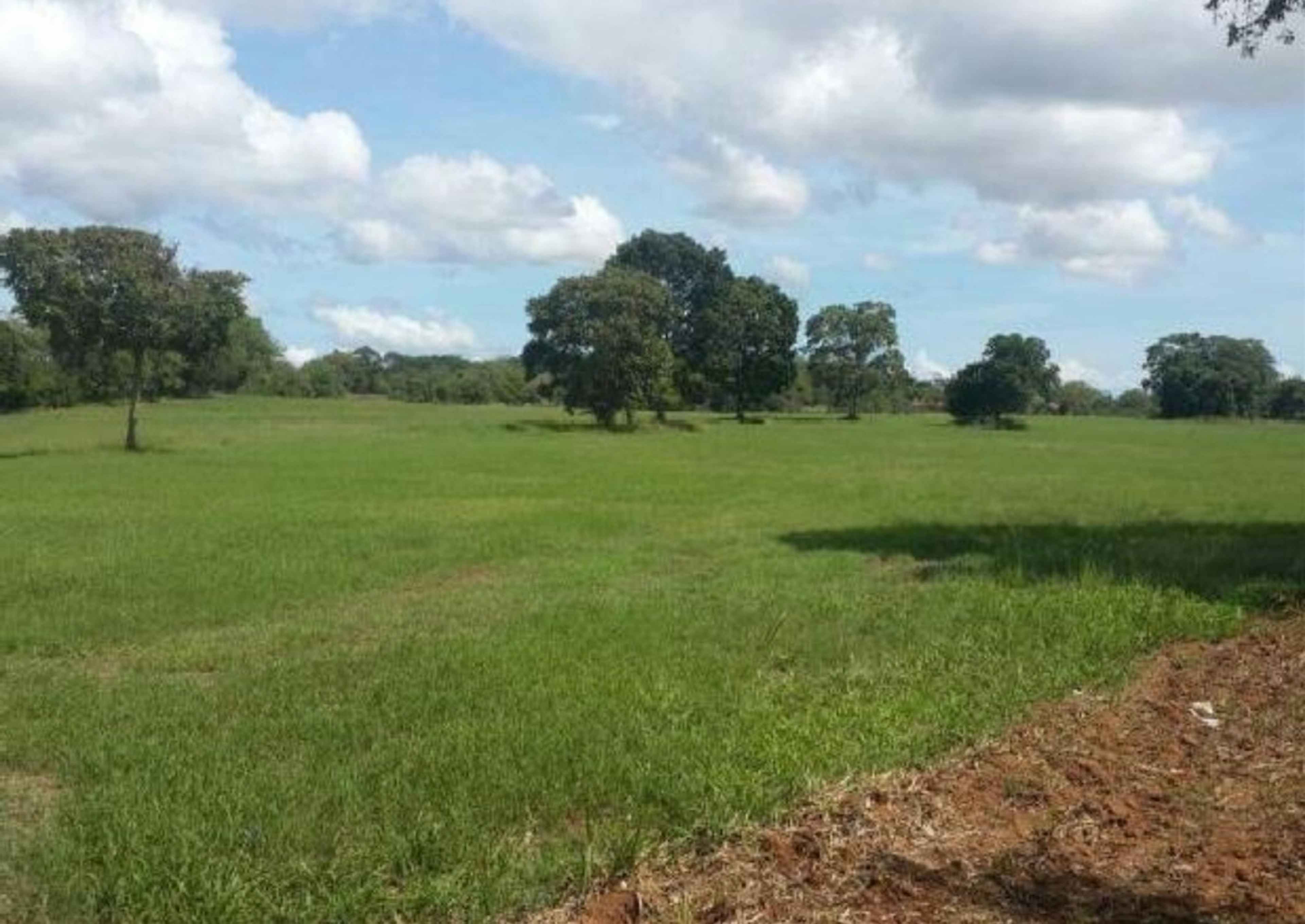 Cerrada De Los Duraznos 9