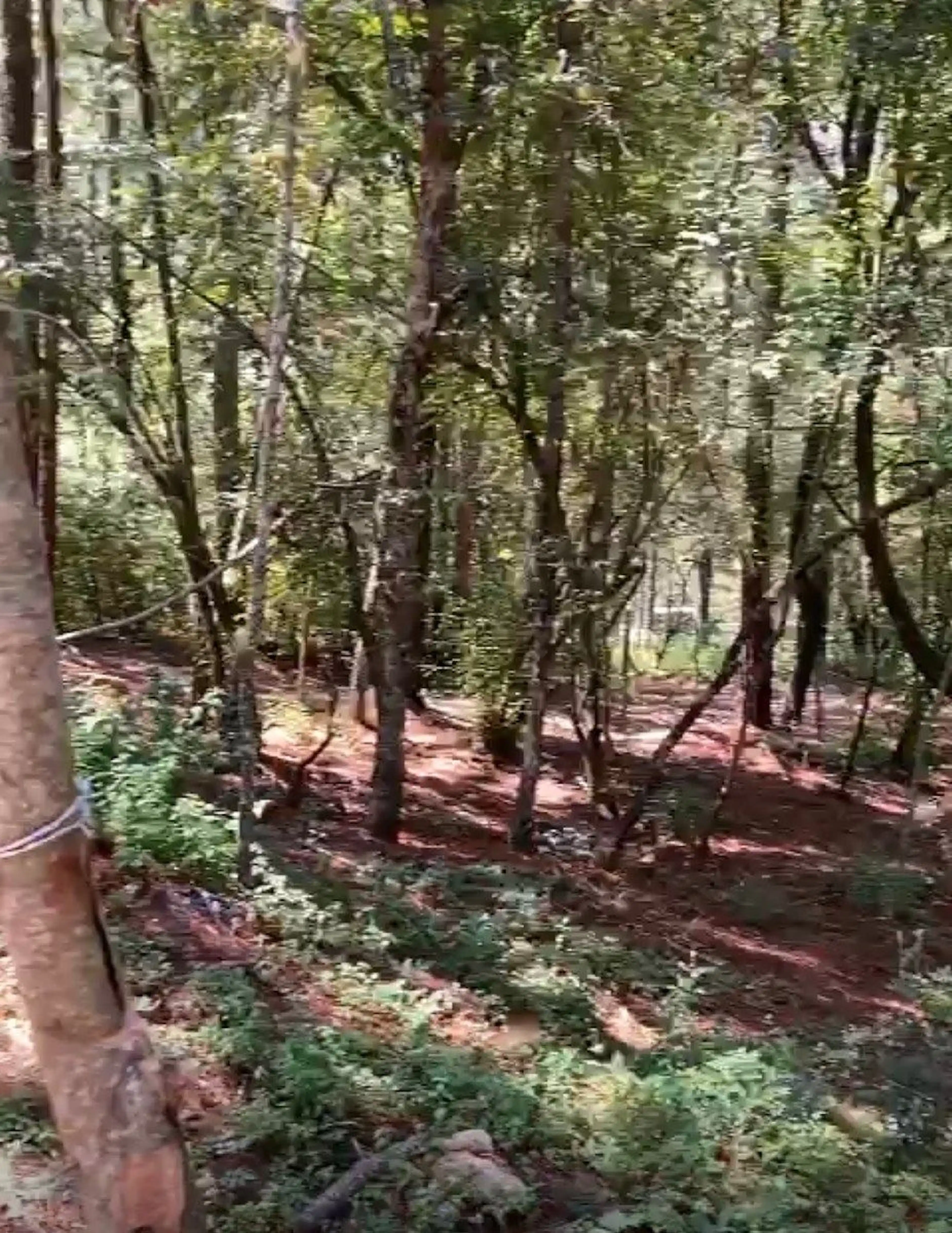 Terreno En Venta, Corral De Piedra En Planada La Troje, En Lo Alto De La Montaña