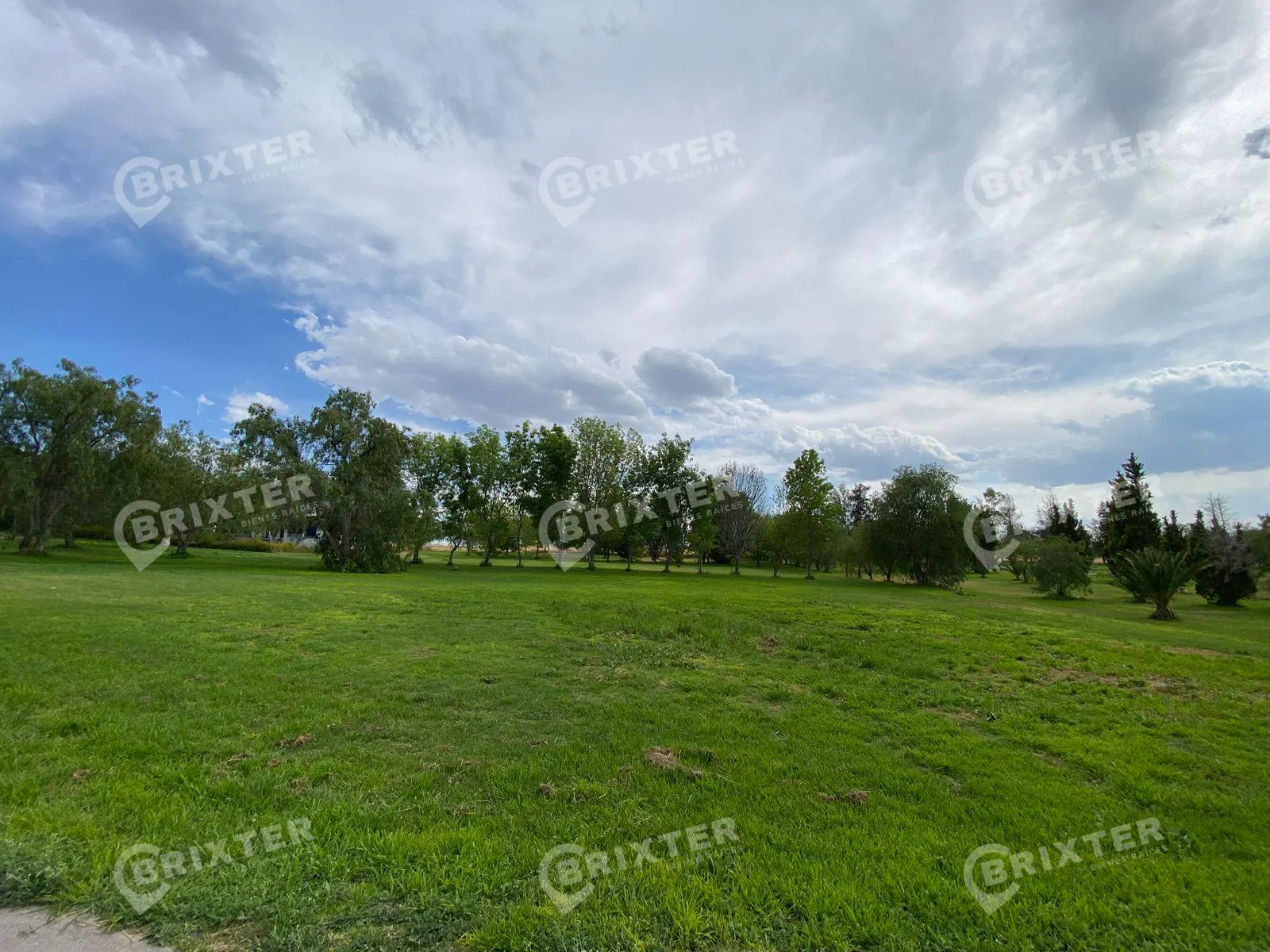 Terreno Spot2